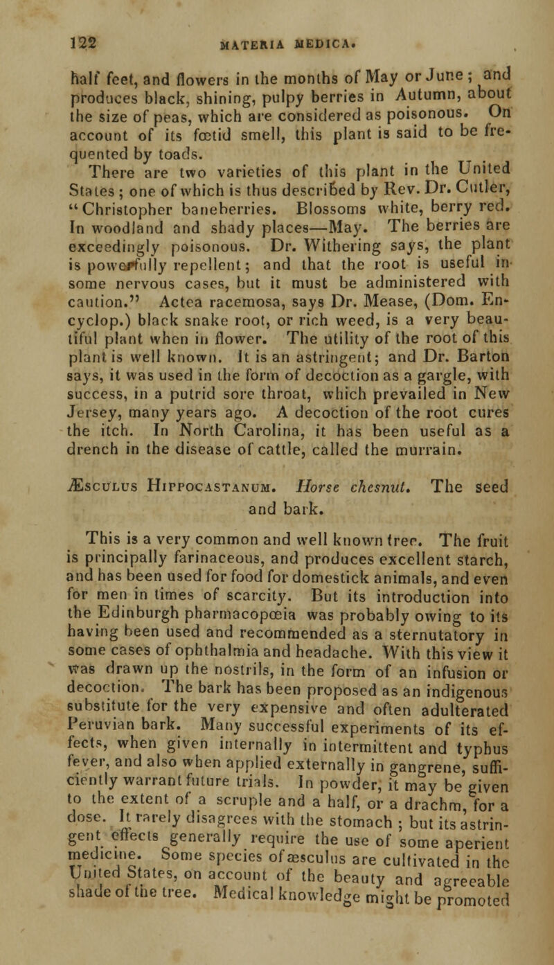 half feet, and flowers in the months of May or June ; and produces black, shining, pulpy berries in Autumn, about the size of peas, which are considered as poisonous. On account of its foetid smell, this plant is said to be fre- quented by toads. There are two varieties of this plant in the United States; one of which is thus described by Rev. Dr. Cutler, Christopher baneherries. Blossoms white, berry red. In woodland and shady places—May. The berries are exceedingly poisonous. Dr. Withering says, the plant is powerfully repellent; and that the root is useful in some nervous cases, but it must be administered with caution. Actea racemosa, says Dr. Mease, (Dom. En- cyclop.) black snake root, or rich weed, is a very beau- tiful plant when in flower. The utility of the root of this plant is well known. It is an astringent; and Dr. Barton says, it was used in the form of decoction as a gargle, with success, in a putrid sore throat, which prevailed in New Jersey, many years ago. A decoction of the root cures the itch. In North Carolina, it has been useful as a drench in the disease of cattle, called the murrain. jEsculus Hitpocastanum. Horse chesmd. The seed and bark. This is a very common and well known tree. The fruit is principally farinaceous, and produces excellent starch, and has been used for food for domestick animals, and even for men in times of scarcity. But its introduction into the Edinburgh pharmacopoeia was probably owing to its having been used and recommended as a sternutatory in some cases of ophthalmia and headache. With this view it was drawn up the nostrils, in the form of an infusion or decoction. The bark has been proposed as an indigenous substitute for the very expensive and often adulterated Peruvian bark. Many successful experiments of its ef- fects, when given internally in intermittent and typhus fever, and also when applied externally in gangrene, suffi- ciently warrant future trials. In powder, it may be given to the extent of a scruple and a half, or a drachm for a dose. It rarely disagrees with the stomach ; but its astrin- gent effects generally require the use of some aperient medicine. Some species of aesculus are cultivated in the United States, on account of the beauty and agreeable shade of the tree. Medical knowledge might be promoted