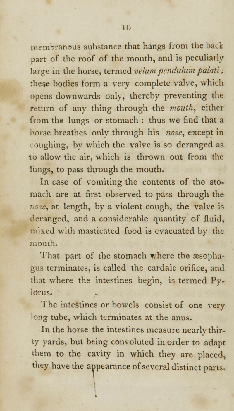 membranous substance that hangs from the back part of the roof of the mouth, and is peculiarly large in the horse, termed velum pendulum palatl; these bodies form a very complete valve, which opens downwards only, thereby preventing the return of any thing through the mouth, either from the lungs or stomach : thus we find that a horse breathes only through his ?iose, except in coughing, by which the valve is so deranged as lo allow the air, which is thrown out from the lungs, to pass through the mouth. In case of vomiting the contents of the sto- mach are at first observed to pass through the nose, at length, by a violent cough, the valve is deranged, and a considerable quantity of fluid, mixed with masticated food is evacuated by the mouth. That part of the stomach where the- sesopha- gus terminates, is called the cardaic orifice, and that where the intestines begin, is termed Py- lorus. The intestines or bowels consist of one very long tube, which terminates at the anus. In the horse the intestines measure nearly thir- ty yards, but being convoluted in order to adapt them to the cavity in which they are placed, they have the appearance of several distinct parts.
