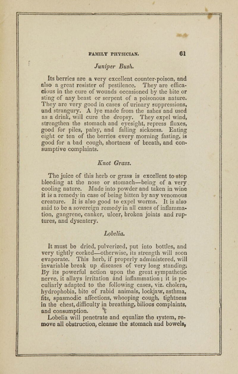 Juniper Bush. Its berries are a very excellent counter-poison, and also a great resister of pestilence. They are effica- cious in the cure of wounds occasioned by the bite or sting of any beast or serpent of a poisonous nature. They are very good in cases of urinary suppressions, and strangury. A lye made from the ashes and used as a drink, will cure the dropsy. They expel wind, strengthen the stomach and eyesight, repress fluxes, good for piles, palsy, and falling sickness. Eating eight or ten of the berrie-s every morning fasting, is good for a bad cough, shortness of breath, and con- sumptive complaints. Knot Grass. The juice of this herb or grass is excellent to stop bleeding at the nose or stomach—being of a very cooling nature. Made into powder and taken in wine it is* a remedy in case of being bitten by any venomous creature. It is also good to expel worms. It is also said to be a sovereign remedy in all cases of inflamma- tion, gangrene, canker, ulcer, broken joints and rup- tures, and dysentery. Lobelia. It must be dried, pulverized, put into bottles, and very tightly corked—otherwise, its strength will soon evaporate. This herb, if properly administered, will invariable break up diseases of very long standing; By its powerful action upon the great sympathetic nerve, it allays irritation and inflammation; it is pe- culiarly adapted to the following cases, viz. cholera, hydrophobia, bite of rabid animals, lockjaw, asthma, fits, spasmodic affections, whooping cough, tightness in the chest, difficulty in breathing, bilious complaints, and consumption. \ Lobelia will penetrate and equalize the tystem, re- move all obstruction., cleanse the stomach and bowels, L