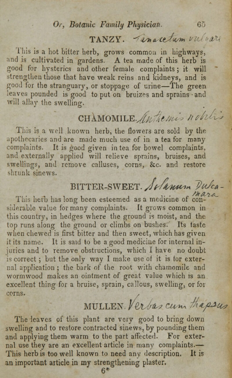 TANZY. ^^Vha/Ltjw* vi'^ ^ 1 his is a hot bitter herb, grows common in highways, and is cultivated in gardens. A tea made of this herb is good for hysterics and other female complaints; it will strengthen those that have weak reins and kidneys, and is good for the stranguary, or stoppage of urine—The green leaves pounded is good to put on bruizes and sprains -and will allay the swelling. CHAMOMILE.^//, 4tM t '* //<• This is a well known herb, the flowers are sold by the apothecaries and are made much use of in a tea for many complaints. It is good given in tea for bowel complaints, and externally applied will relieve sprains, bruises, and swellings, and remove calluses, corns, &c and restore shrunk sinews. BITTER-SWEET. /UAw* ~Pu/ca- This herb has long been esteemed as a medicine of con- siderable value for many complaints. It grows common in this country, in hedges where the ground is moist, and the top runs along the ground or climbs on bushes. Its taste when chewed is first bitter and then sweet, which has given it its name. It is said to be a good medicine for internal in- juries and to remove obstructions, which I have no doubt is correct; but the only way I make use of it is for exter- nal application ; the bark of the root with chamomile and wormwood makes an ointment of great value which is an excellent thing for a bruise, sprain, callous, swelling, or for corns. . MULLEN. VqaJtO^ CU^rv, mi/Llti* The leaves of this plant are very good to bring down swelling and to restore contracted sinews, by pounding them and applying them warm to the part affected. For exter- nal use they are an excellent article in many complaints.— This herb is too well known to need any description. It is an important article in my strengthening plaster. 6*