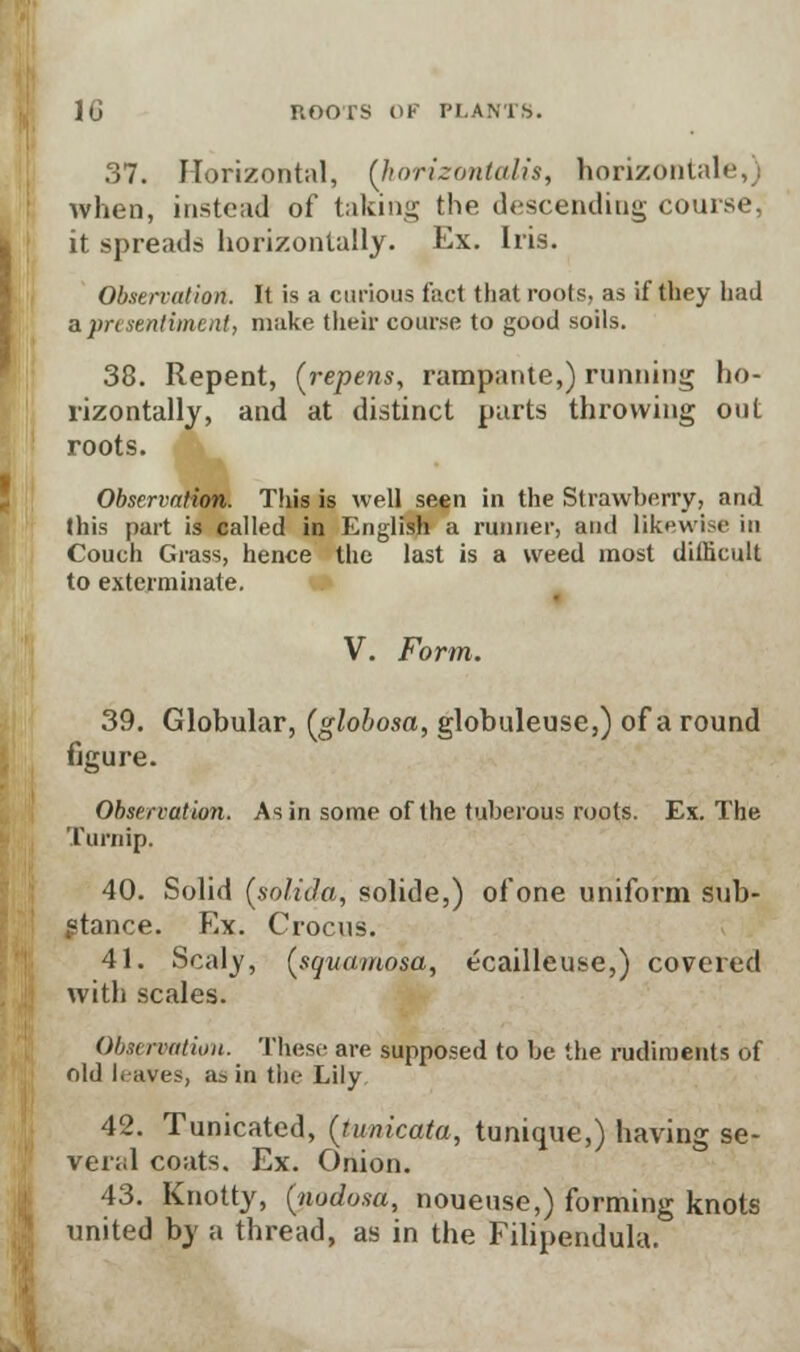 37. Horizontal, (horizontalis, horizontals, when, instead of taking the descending course, it spreads horizontally. Ex. Iris. Observation. It is a curious fact that roots, as if they had a presentiment, make their course to good soils. 38. Repent, (repens, rampante,) running ho- rizontally, and at distinct parts throwing out roots. Observation. This is well seen in the Strawberry, and this part is called in English a runner, and likewise in Couch Giass, hence the last is a weed most difficult to exterminate. V. Form. 39. Globular, (globosa, globuleuse,) of a round figure. Observation. As in some of the tuberous roots. Ex. The Turnip. 40. Solid {solid a, solide,) of one uniform sub- stance. Ex. Crocus. 41. Scaly, {squamosa, ecailleuse,) covered with scales. Observation. These are supposed to be the rudiments of old leaves, a3in the Lily 42. Tunicated, (tunicata, tunique,) having se- veral coats. Ex. Onion. 43. Knotty, (nodosa, noueuse,) forming knots united by a thread, as in the Filipendula.