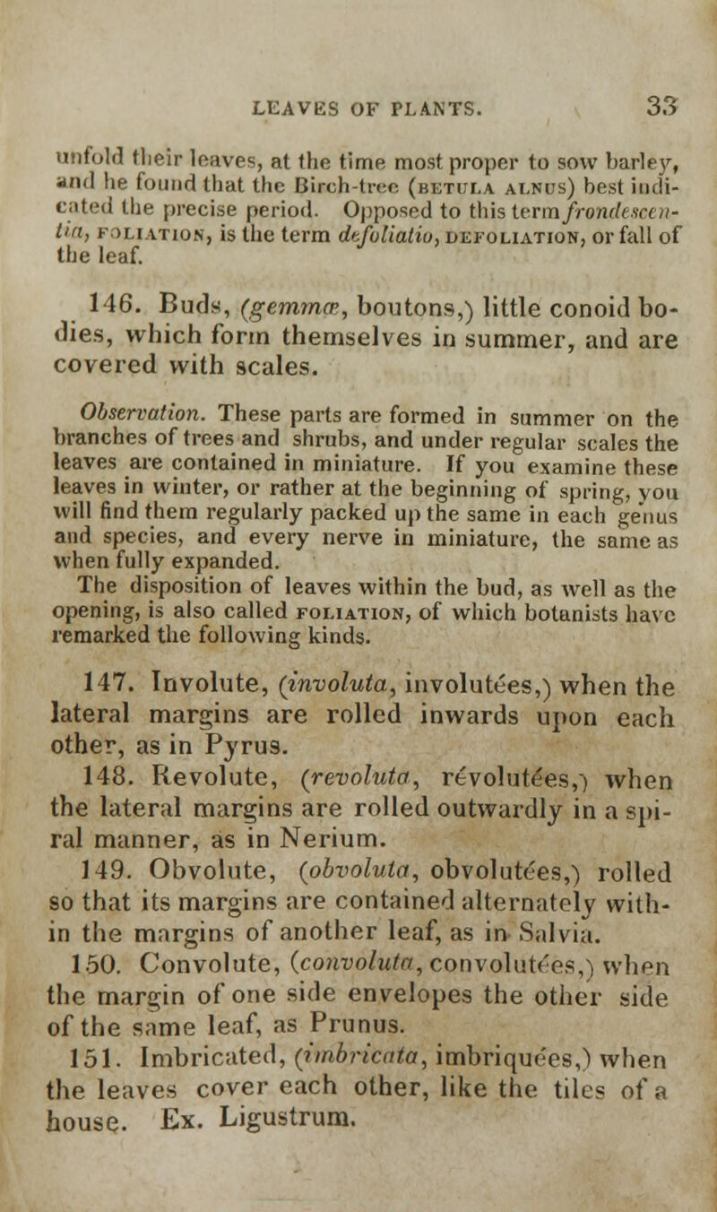 unfold their leaves, at the time most proper to sow barley, and he found that the (Hjoh-tree (betui.a alnus) best indi- cated the precise period. Opposed to this term frendeseen- tia, filiation, is the term dtfuliatio, defoliation, or fall of the leaf. 146. Buds, (gem?ncr, boutons,) little conoid bo- dies, which form themselves in summer, and are covered with scales. Observation. These parts are formed in summer on the branches of trees and shrubs, and under regular scales the leaves are contained in miniature. If you examine these leaves in winter, or rather at the beginning of spring, you will find them regularly packed up the same in each genus and species, and every nerve in miniature, the same as when fully expanded. The disposition of leaves within the bud, as well as the opening, is also called foliation, of which botanists have remarked the following kinds. 147. Involute, (involuta, involutes,) when the lateral margins are rolled inwards upon each other, as in Pyrus. 148. Revolute, (revoluta, revolutees,) when the lateral margins are rolled outwardly in a spi- ral manner, as in Nerium. 149. Obvolute, (obvolulct, obvolutees,) rolled so that its margins are contained alternately with- in the margins of another leaf, as in Salvia. 150. Convolute, (convoluta, convolution,) when the margin of one side envelopes the other side of the same leaf, as Prunus. 151. Imbricated, (imbricnta, imbriquf-es,) when the leaves cover each other, like the tiles of a house. Ex. Ligustrum.