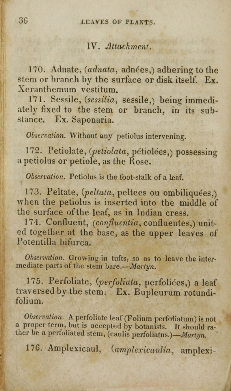 IV. Attachment. 170. Adnate, (adnata, adnees,) adhering to the stem or branch by the surface or disk itself. Ex. Xeranthemum vestitum. 171. Sessile, (sessilia, sessile,) being immedi- ately fixed to the stem or branch, in its sub- stance. Ex. Saponaria. Observation. Without any petiolus intervening. 172. Petiolate, (petiolata, petiolees,) possessing a petiolus or petiole, as the Rose. Observation. Petiolus is the foot-stalk of a leaf. 173. Peltate, (peltata, peltees ou ombiliquees,) when the petiolus is inserted into the middle of the surface ofthe leaf, as in Indian cress. 174. Confluent, (conjluentia, confluentes,) unit- ed together at the base, as the upper leaves of Potentilla bifurca. Observation. Growing in tufts, so as to leave the inter- mediate parts of the stem bare.—Mariyn. 175. Perfoliate, (perfoliata, perfoliees,) a leaf traversed by the stem. Ex. Bupleurum rotundi- folium. Observation. A perfoliate leaf (Folium perforatum) is not a proper term, but is accepted by botanists. It should ra- ther be a perfoliated stem, (caulis perfoliatus.)—Martyn. ' 176. Amplexicaul, (amplexicaulia, amplexi