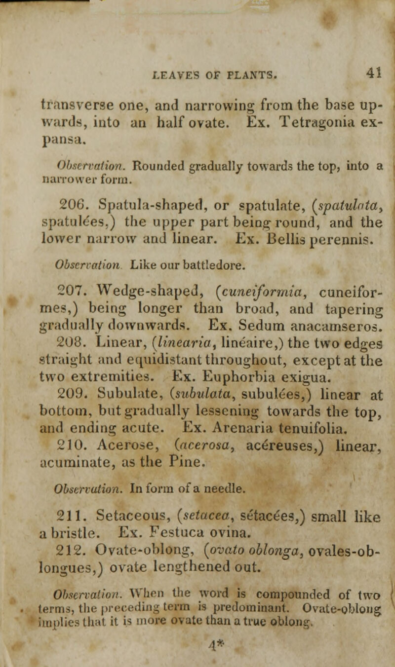 transverse one, and narrowing from the base up- wards, into an half ovate. Ex. Tetragonia ex- pansa. Observation. Rounded gradually towards the top, into a narrower form. 206. Spatula-shaped, or spatulate, (spatulnta, spatult'es,) the upper part being round, and the lower narrow and linear. Ex. Bellis perennis. Obscrcation Like our battledore. 207. Wedge-shaped, (cuneiforrnia, cuneifor- mes,) being longer than broad, and tapering gradually downwards. Ex. Sedum anacamseros. 208. Linear, {linearia, lineaire,) the two edges straight and equidistant throughout, except at the two extremities. Ex. Euphorbia exigua. 209. Subulate, {subulata, subulees,) linear at bottom, but gradually lessening towards the top, and ending acute. Ex. Arenaria tenuifolia. 210. Acerose, (acerosa, acereuses,) linear, acuminate, as the Pine. Observation. In form of a needle. 211. Setaceous, (setacea, setacees,) small like a bristle. Ex. Festuca ovina. 212. Ovate-oblong, (ovato oblonga, ovales-ob- longues,) ovate lengthened out. Observation. When the word is compounded of two terms, the preceding terra is predominant. Ovate-oblong implies that it is more ovate than a true oblong, 4*