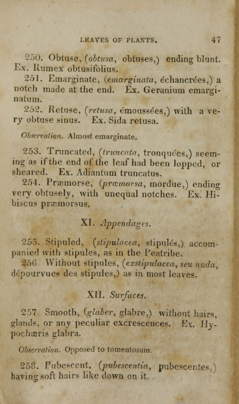 250. Obtuse, (obtrma, obtuses,) ending blunt. Ex. Rumex obtusifolius. 251. Emarginate, {emarginata, echancrees,) a notch made at the end. Ex. Geranium emargi- nafum. 252. Retuse, (retusa, e'moussees,) with a ve- ry obtuse sinus. Ex. Sida retusa. Observation,. Almost emarginate. 253. Truncated, Ctruncata, tronquecs,) seem- ing as if the end of the leaf had been lopped, or sheared. Ex. Adiantum truncatus. 254. Praemorse, (prcemorsa, mordue,) ending very obtusely, with unequal notches. Ex^ Hi- biscus prrcmorsus. XI. Appendages. 255. Stipuled, (stipulacea, stipules,) accom- panied with stipules, as in the Peatribe. 2.')G Without stipules, (cxstipnlacca, sen nuclei, depourvues des stipules,) as in most leaves. XII. Surfaces. 257 Smooth, (glaber, glabre,) without hairs, glands, or any peculiar excrescences. Ex. Hy- pochaeris glabra. Observation. Opposed to tomenfosum. 25C. Pubescent, (pubescentia, pubescentes/i having soft hairs like down on it.