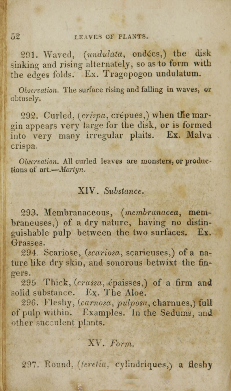 291. Waved, (undulata, ondecs,) the di.sk sinking and rising alternately, so as to form with the edges folds. Ex. Tragopogon undulatum. Observation. The surface rising and falling in waves, or ' tusely. 292. Curled, {crispa, crtpues,) when trie mar- gin appears very large for the disk, or is formed into very many irregular plaits. Ex. Malva crispa Observation. All curled leaves are monsters, or produc- tions of art.—Martyn. XIV. Substance. 293. Membranaceous, (membranacca, mem- braneuses,) of a dry nature, having no distin- guishable pulp between the two surfaces. Ex. Grasses. 294 Scariose, (scariosa, scarieuses,) of a na- ture like dry skin, and sonorous betwixt the fin- gers. 295 Thick, (crassa, t'paisses,) of a firm and Solid substance. Ex. The Aloe. 296. Fleshy, (carnosa, pulposa, charnues,) full of pulp within. Examples. In the Sedums, and other succulent plants. XV. Form. 7. Round, (Jeretia. Cylindriques,) a fleshy