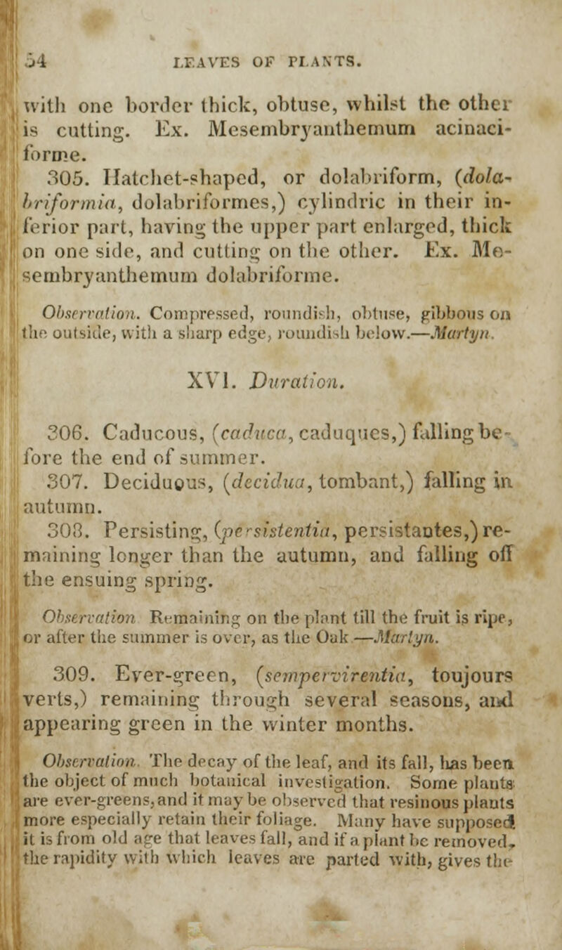 With one border (hick, obtuse, whilst the other is cutting. Ex. Mesembryanthemum acinaci- fonne. 305. Hatchet-shaped, or dolabriform, (dola- i'l-ifonnia, dolabriformes,) cylindric in their in- terior part, having the upper part enlarged, thick on one side, and cutting on the other. Ex. Me- sembryanthemum dolabriforme. Observation. Compressed, roundish, obtuse, gibbous on !h outsioe, with a sharp edge, roundish below.—Murtyn. XVI. Duration. 306. Caducous, (ccuhrco, eaduques,) falling be lore the end of summer. 307. Deciduous, [decidua, tombant,) falling in autumn. 303. Persisting, (.perststentia, porsistaotes,) re- maining longer than the autumn, and falling off the ensuing spring. Observation Remaining on the plant till the fruit is ripe, Br alter the summer is over, as the Oak —Murtyn. 309. Ever-green, (sempcrvirentia, toujours iverts,) remaining through several seasons, and appearing green in the winter months. Observation The decay of the leaf, and its fall, lias been the object of much botanical investigation, Some plants are ever-greens,and it may be observed that resinous plants more especially retain their foliage. Many have supposed it is from old age that leaves fall, and if a plant he removed. file rapidity with which leaves arc parted with, gives the