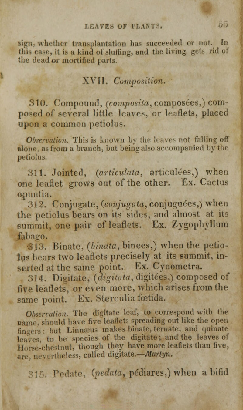 r CAVES UF II.A o-i lien, whether transplantation lias succeeded or not. In this case, ii is a kind of staffing, and the living gets rid ot the dead or mortified parts. XVII. Composition. 310. Compound, (composite/-, composees,) com- posed ol' several little loaves, or leaflets, placed upon a common petiolus. Observation. This is known by the leaves not falling ofl alone, as from a branch, but being also accompanied by the petiolus. 311. Jointed, (articulate/, articulees,) when one leaflet grows out of the other. Ex. Cactus opuntia. 312. Conjugate, (covjugofa, conju^nees,) when the petiolus bears on its sides, and almost at its summit, one pair of leaflets. Ex. Zygophyllum fabago. 13. Binate, (binctta, binees,) when the petio- lus bears two leaflets precisely at its summit, in- serted at the same point. Ex. Cynometra. 314. Digitate, (digitata, digit£e£,) composed of five leaflets, or even more, which arises from the same point. Ex. Sterculia fcetida. Observation. The digitate leaf, to correspond with the name, should have five leaflets spreading out like the open fingers: but Lihnseus makes binate,ternate, and quinate leaves, to be species of the digitate; and the leaves of Horse-chestnut, though they have more leaflets than live, are, nevertheless, called digitate.—Martyn. (r>edata, pediares,) when a bifid