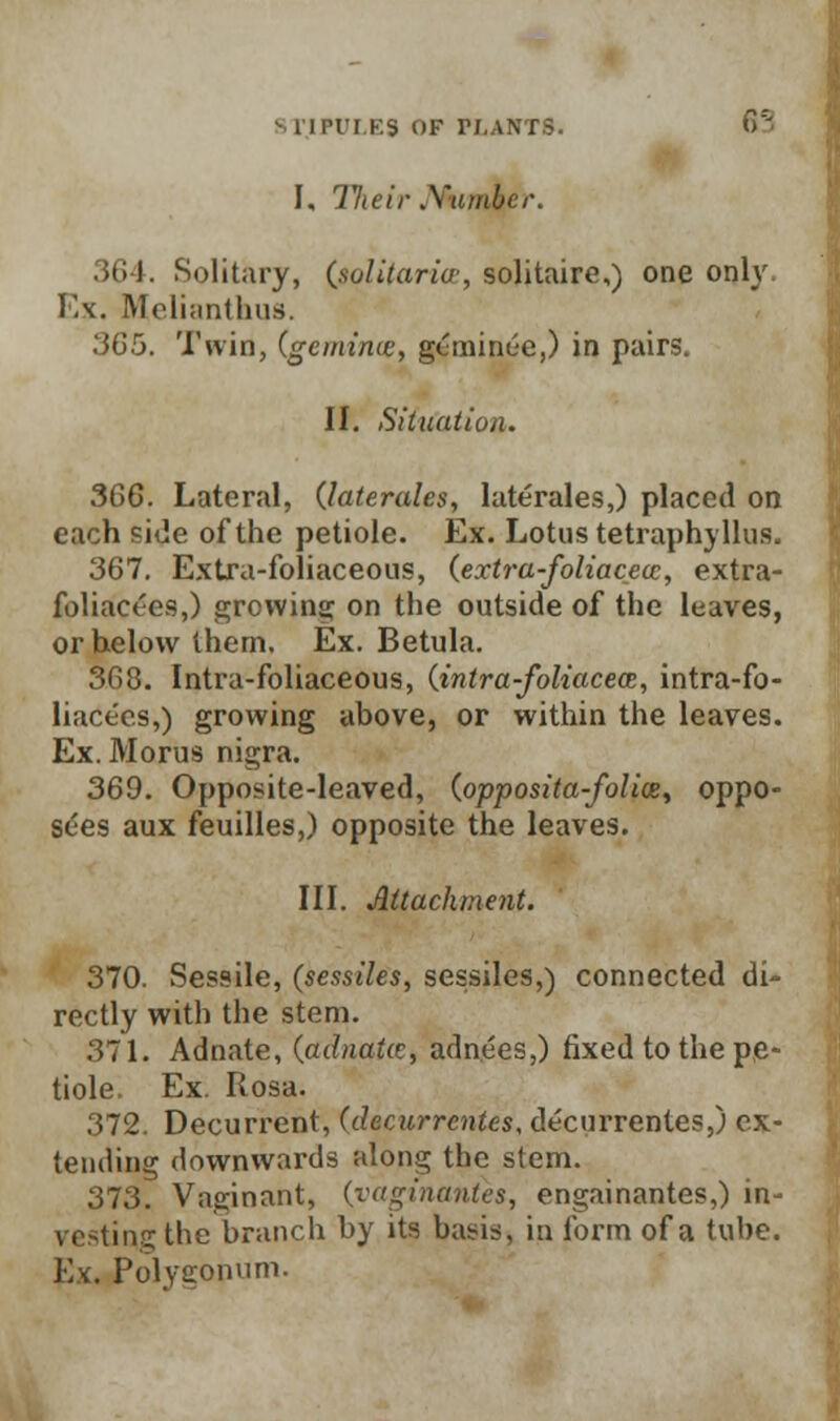 I, 17ieir .Yambcr. I. Solitary, {jqlUariee, solitaire,) one only. Ex, Molianthus. 365. Twin, (gemince, geminc'e,) in pairs. II. Situation. 366. Lateral, (laterales, laterales,) placed on each side of the petiole. Ex. Lotus tetraphyllus. 367. Extra-foliaceous, (extra-foliacecc, extra- foliact-es,) growing on the outside of the leaves, or helow them. Ex. Betula. 363. Intra-foliaceous, (intra-foliaceai, intra-fo- liacecs,) growing above, or within the leaves. Ex. Morus nigra. 369. Opposite-leaved, (opposita-folioe, oppo- sees aux feuilles,) opposite the leaves. III. Attachment. 370. Sessile, (sessiles, sessiles,) connected di- rectly with the stem. 371. Adnate, (adnata, adn.ees,) fixed to the pe- tiole. Ex. Rosa. 372. Decurrent, (decwrcntes, decurrentes,) ex- tending downwards along the stem. 373. Vaginant, (vagtnantes, engainantes,) in- resting the branch by its basis, in form of a tube. Ex. Polygonum.