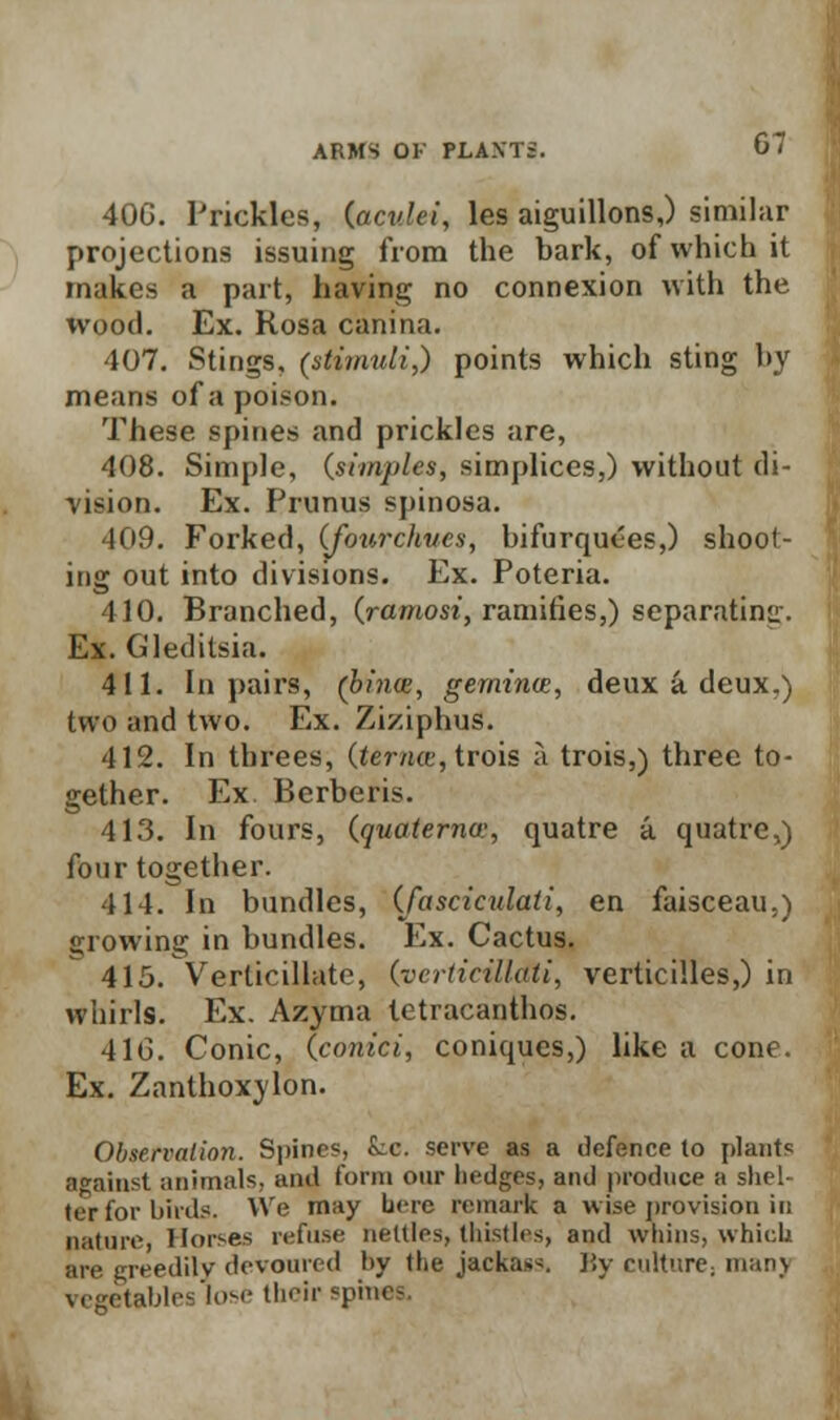 40G. Prickles, (acv.lei, les aiguillons,) similar projections issuing from the bark, of which it makes a part, having no connexion with the wood. Ex. Kosa canina. 407. Stings, (stimuli,) points which sting by means of a poison. These spines and prickles are, 408. Simple, (simples, simplices,) without di- vision. Ex. Prunus spinosa. 409. Forked, (fouixhvcs, bifurquees,) shoot- ing out into divisions. Ex. Poteria. 410. Branched, (ramosi, ramifies,) separating. Ex. Gleditsia. 411. In pairs, (bince, gernince, deux a deux.) two and two. Ex. Ziziphus. 412. In threes, (tenia, trois a trois,) three to- gether. Ex Berberis. 413. In fours, (quaterna:, quatre a quatre,) four together. 414. In bundles, (fasciculati, en faisceau,) growing in bundles. Ex. Cactus. 415. Verticillate, (veriicillati, verticilles,) in whirls. Ex. Azyma tetracanthos. 41G. Conic, (conici, coniques,) like a cone. Ex. Zanthoxylon. Observalio7i. Spines, Lc. serve as a defence to plants against animals, ami form our hedges, and produce a shel- ter for birds. We may Lire remark a wise provision in pature, Horses refuse nettles, thistles, and whins, which mic greedily devoured by the jackass By culture- man) vegetables lose their spines