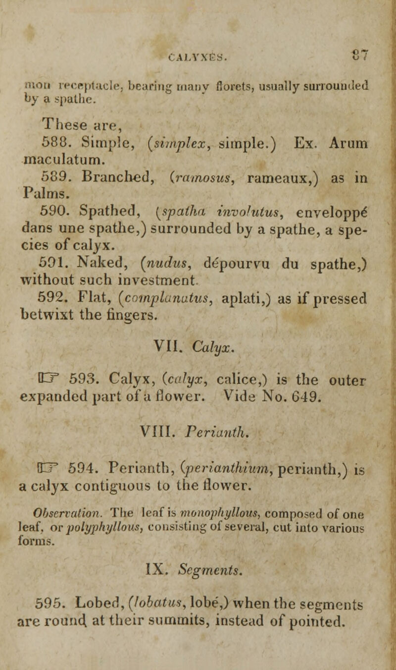 (A).VM'S. HI mon receptacle, bearing runny florets, usually surrounded by a spathe. These arc, 588. Simple, (simplex, simple.) Ex. Arum maculatum. 589. Branched, (ramosus, rameaux,) as in Palms. 590. Spathed, (spatha involutus, enveloppe dans une spathe,) surrounded by a spathe, a spe- cies of calyx. 591. Naked, (nudus, depourvu du spathe,) without such investment 592. Flat, (cmnplunatus, aplati,) as if pressed betwixt the ringers. VII. Calyx. EF 593. Calyx, (calyx, calice,) is the outer expanded part of a Mower. Vide No. 649. VIII. Perianth. CT 594. Perianth, (perianthium, perianth,) is a calyx contiguous to the dower. Observation. The leaf is monophyllous, composed of one leaf, or jwlyphyltous, consisting of several, cut into various forms. IX. Scgmcjits. 595. Lobed, (lobatus, lobe,) when the segments are round at their summits, instead of pointed.