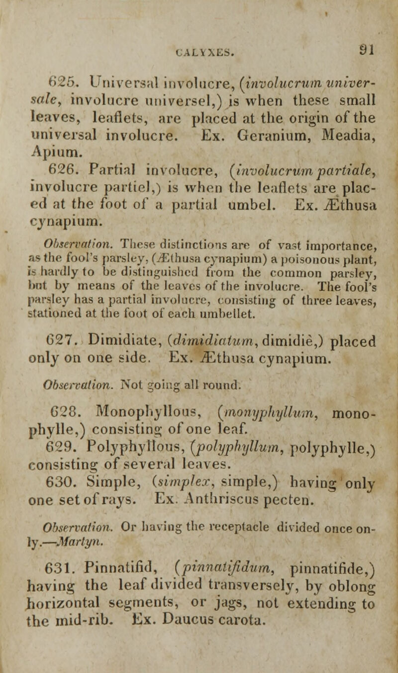 (JALVXtS. SI 625. Universal involucre, (involucrum univer- sale, involucre universe!,) is when these small leaves, leaflets, are placed at the origin of the universal involucre. Ex. Geranium, Meadia, Apium. 626. Partial involucre, (involucrumpartiale, involucre partiel,) is when the leaflets are plac- ed at the foot of a partial umbel. Ex. JEthusa cynapium. Observation. These distinctions are of vast importance, as the fool's parsley. (/F.lhusa cynapium) a poisonous plant, is hardly to be distinguished from the common parsley, hut by means of the leaves of the involucre. The fool's parsley has a partial involucre, consisting of three leaves, stationed at the foot of each umbellet. 627. Dimidiate, (clirnid latum, dimidie,) placed only on one side. Ex. iEthusa cynapium. Observation. Not going all round. 628. Monopnyllous, (inonyphyllum, mono- phylle,) consisting; of one leaf. 629. Polyphytlous, (polyphyllum, polyphylle,) consisting of several leaves. 630. Simple, (simplex, simple,) having only one set of rays. Ex. Anthriscus pecten. Observation. Or having the receptacle divided once on- ly.—Marlyn. 631. Pinnatiful, (pinnatijidum, pinnatifide,) having the leaf divided transversely, by oblong horizontal segments, or jags, not extending to the mid-rib. Ex. Daucus carota.