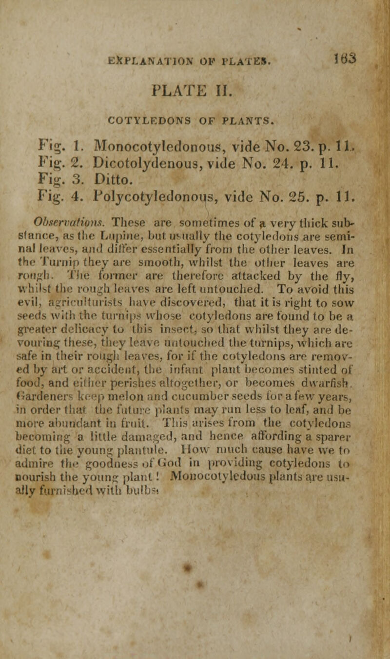 PLATE II. COTYLEDONS OF PLANTS. Fig;. 1. Monocotyledonous, vide No. 23. p. 11. Fig. 2. Dicotolydenous, vide No. 24. p. 11. Fig. 3. Ditto. Fig. 4. Polycotyledonous, vide No. 25. p. 11. Observations. These are sometimes of si very thick sub- stance, as the Lupine, but usually the cotyledons are semi- nal leaves, ami differ essentially from the other leaves. In the Turnip they are smooth, whilst the other leaves are rough. The former are therefore attacked by the fly, whilst the rough leaves arc left untouched. To avoid this evil, agriculturists have discovered, that it is right to sow seeds with the turnips whose cotyledons are found to be a greater delicacy to (his insectj so that whilst they are de- vouring these, they leave untouched the turnips, which are safe in their rough leaves, for if the cotyledons are remov- ed by art or Occident, the infant plant becomes stinted of food, and either perishes altogether, or becomes dwarfish Gardeners keep melon and cucumber seeds tor a few years, in order that, the future plants may ran less to leaf, and be more abundant in fruit. This arises from the cotyledons becoming a little damaged, and hence affording a sparer diet to the young plantule. How much cause have we to admire the goodness of God in providing cotyledons to nourish the young plant! Monocotyledons plants are usu- ally furnished with h