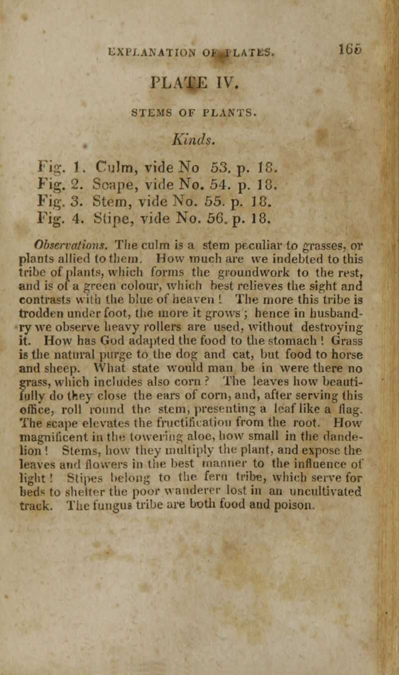 PLA^g IV. STEMS OF PLANTS. Kind?. Fig. 1. Culm, vide No 53. p. 18. Fig. 2. Soape, vide No. 54. p. 18. Fig. 3. Stem, vide No. 55. p. 18. Fig. 4. S(ipe, vide No. 56. p. 18. Observation!!. The culm is a stem peculiar to grasses, or plants allied to them. How much are we indebted to this tribe of plants, which forms the groundwork to the rest, and is of a green colour, which best relieves the sight and contrasts with the blue of heaven L The more this tribe is trodden underfoot, the more it grows ; hence in husband- ry we observe heavy rollers are used, without destroying it. How has God adapted the food to the stomach ! Grass is the natural purge to the dog and cat, but food to horse and sheep. What state would man be in were there no grass, which includes also corn ? The leaves how beauti- fully do they close the ears of corn, and, after serving this office, roll round the stem, presenting a leaf like a Hag. The 6cape elevates the fructification from the root. How magnificent in the towering aloe, how small in the dande- lion ! Stems, how they multiply the plant, and expose the leaves arid flowers in the best manner to the influence of light ! Stipes belong to the fern tribe, which serve for beds to shelter the poor wanderer lost in an uncultivated track. The fungus tribe are both food and poison