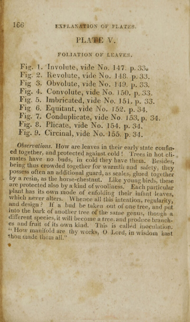 lGti f.xpj.anation of platiss PLA1E V. FOLIATION Of l,V. I Fi<r. 1. Involute, vide No. 117. p Fig. 2. Revolute, vide No. 148. p.33. Fig 3. Obvolute, vide No. 149. p. 33. Fig. 4. Convolute, vide No. 150. p. 33,. Fig. 5. Imbricated, vide No. 151. p. 33. Fig 6. Equitant, vide No. 152. p. 34. Fig. 7. Conduplicate, vide No. J 53. p. 34. Fig. 8. Plicate, vide No. 154. p. 34. Fig. 9. Circinal, vide No. 155. p. 34. Observations. How are leaves in their early state confin* ed together, and protected against cold ! Trees in hot cli- mates have no buds, in cold they have them. 1; being thus crowded together for warmth and safety, they possess often an additional guard, as scales, glued together by a resin, as the horse-chestnut. Like young birds.' These are protected also by a kind of vvooliness. Each particular plant has its own mode of enfolding their infant li which never alters. Whence all this intention, regularity, and design? H a bud betake,, out of one tree, and put into the bark of another tree of the same genus, though a different s^ecies,it will become alree, and produce branch- esand fruit of its awn kind. This is called inoculation. How manifold are thy works, O Lord, in wisdom hast Hum made them all.