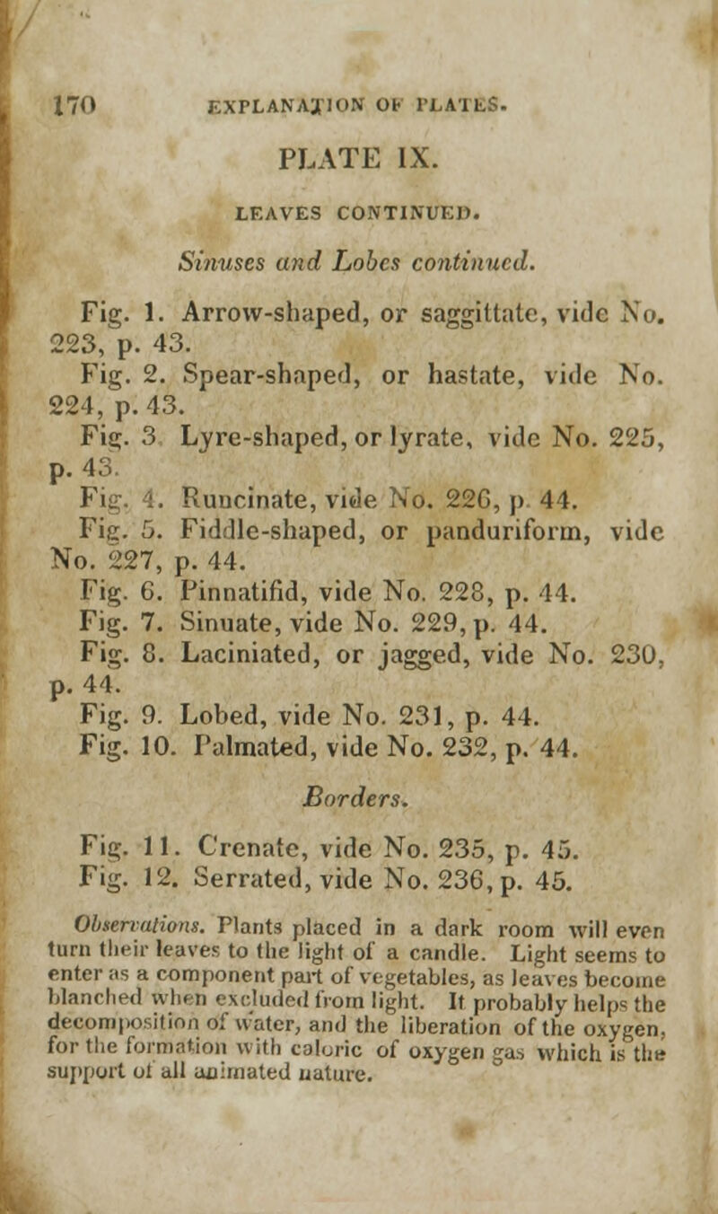 PLATE IX. LEAVES CONTINUED. Sinuses and Lobes continued. Fig. 1. Arrow-shaped, or saggittate, vide No. 223, p. 43. Fig. 2. Spear-shaped, or hastate, vide No. 224, p. 43. Fig. 3 Lyre-shaped, or lyrate, vide No. 225, p. 43. Fig. 4. Runcinate, vide No. 22G, p. 44. Fie 5. Fiddle-shaped, or panduriform, vide No. 227, p. 44. Fig. 6. Pinnatifid, vide No. 228, p. 44. Fig. 7. Sinuate, vide No. 229, p. 44. Fig. 8. Laciniated, or jagged, vide No. 230. p. 44. Fig. 9. Lobed, vide No. 231, p. 44. Fig. 10. Palmated, vide No. 232, p. 44. Borders. Fig. 11. Crenate, vide No. 235, p. 45. Fig. 12. Serrated, vide No. 236, p. 45. Observations. Plants placed in a dark room will even turn their leaves to the light of a candle. Light seems to enter as a component part of vegetables, as leaves become blanched when excluded from light. It probably helps the decomposition of water, and the liberation of the oxygen, for the formation with caloric of oxygen gas which is the support ot all animated nature.