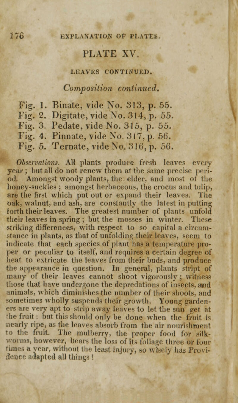 PLATE XV. LEAVES CONTINUED. Composition continued. Fig. 1. Binate, vide No. 313, p. 55. Fig. 2. Digitate, vide'No. 314, p. 55. Fig. 3. Pedate, vide No. 315, p. 55. Fig. 4. Pinnate, vide No. 317, p. 5b'. Fig. 5. Ternate, vide No. 316, p. 56. Observations. AH plants produce firsh leaves evert year ; hut all do not renew them at the same precise peri- od Amongst woody plants, the elder, and most ot' the honey-suckles ; amongst herbaceous, the crocus and tulip, are the first which put out or expand their leaves. The oak, walnut, and ash, are constantly the latest in putting forth their leaves. The greatest number of plants unfold their leaves in spring ; but the mosses in winter. These striking differences, with respect to so capital a circum- stance in plants, as that of unfolding their leaves, seem to indicate that each species of plant has a temperature pro- per or peculiar to itself, and requires a certain degree of heat to extricate the leaves from their buds, and produce the appearance in question. In general, plants stript of many of their leaves cannot shoot vigorously ; witness those that have undergone the depredations of insects, a»id animals, which diminishes the number of their shoots, and sometimes wholly suspends their growth. Young garden- ers are very apt to strip away leaves to let the sun get at the fruit: but this should only be done when the fruit is nearly ripe, as the leaves absorb from the air nourishment to the fruit. The mulberry, the proper food for silk- worms, however, bears the loss of its foliage three or four times a year, without the least injury, so wisely has Pi deuce adapted all things!