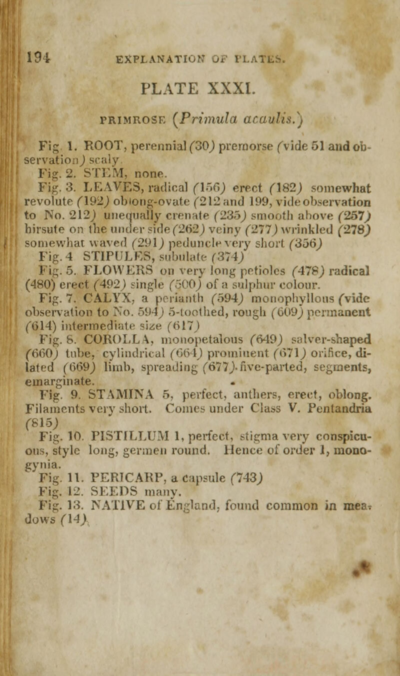 PLATE XXXI. primrose (Primula acaulis.) Fig 1. ROOT, perennial (30) prernorse (vide 51 and ob- servation) scaly, Fig. 2. STEM, none. Fig. 3. LEAVES, radical (156) erect (182) somewhat revolute (192) oblong-ovate (212 and 199, vide observation to No. 212) unequally crenate (235) smooth above (257,; hirsute on the under side (262) veiny (217) wrinkled (278,) somewhat waved (291) peduncle very short (356) Fig. 4 STIPULES, subulate- (31 i) I ig. 5. FLOWERS on very long petioles (478) radical (480) erect (492) single (3:0) of a sulphur colour. Fig. 7. CALYX, a perianth (594) monophyllons (vide observation to No. 594) 5-toothed, rough (1509) permanent (614) intermediate size (617) Fig. 8. COROLLA, mouopetalous (649) salver-shaped f660) tube, cylindrical (664) prominent (671) orifice, di- lated (669) limb, spreading (677)-five-parted, segments, emarginate. Fig. 9. STAMINA 5, perfect, anthers, erect, oblong. Filaments very short. Comes under Class V. Penlandria (815) Fig. 10. PISTILLUM 1, perfect, stigma very conspicu- ous, style long, germen round. Hence of order 1, mono- gynia. Fig. 11. PERICARP, a capsule (743) Fig. 12. SEEDS many. Fig. 13. NATIVE of England, found common in mea* dows (14),