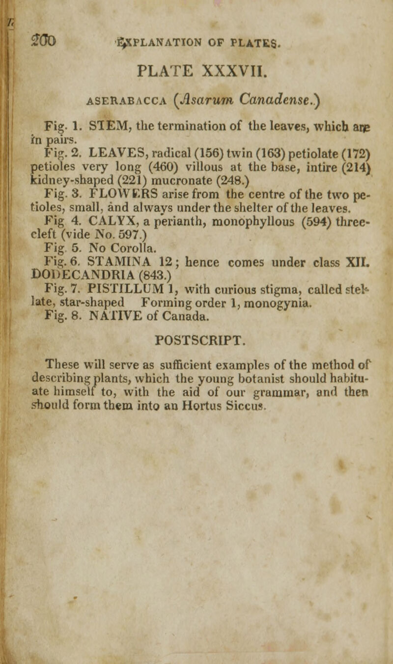 PLATE XXXVII. aserabacca (Asarum Canadense.) Fig- 1. STEM, the termination of the leaves, which aip rn pairs. Fig. 2. LEAVES, radical (156) twin (163) petiolate (172) petioles very long (460) villous at the base, intire (214) kidney-shaped (221) mucronate (248.) Fig. 3. FLOWERS arise from the centre of the two pe- tioles, small, and always under the shelter of the leaves. Fig 4. CALYX, a perianth, monophyllous (594) three- cleft (vide No. 597.) Fig 5. No Corolla. Fig. 6. STAMINA 12; hence comes under class XII. D0DECANDR1A(843.) Fig. 7. PISTILLUM 1, with curious stigma, called steH late, star-shaped Forming order 1, monogynia. Fig. 8. NATIVE of Canada. POSTSCRIPT. These will serve as sufficient examples of the method of describing plants, which the young botanist should habitu- ate himself to, with the aid of our grammar, and then should form them into an Hortus Siccus.