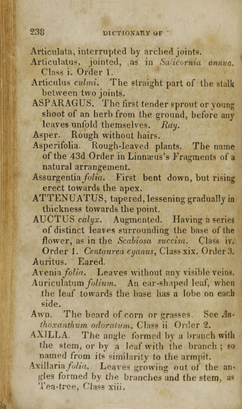 Articulata, interrupted by arched joints. Arliculatus, jointed, as in SadcorHia annua. Class i. Order 1. Articulus culmi. The straight part of the stalk between two joints. ASPARAGUS. The first tender sprout or young shoot of an herb from the ground, before any leaves unfold themselves. Ray. Asper. Rough without hairs. Asperifolia. Rough-leaved plants. The name of the 43d Order in Linnaeus's Fragments of a natural arrangement. Assurgentia/o/w. First bent down, but rising erect towards the apex. ATTENUATUS, tapered, lessening gradually in thickness towards the point. AUCTUS calyx. Augmented. Having a series of distinct leaves surrounding the base of the flower, as in the Scabiosu succisa. Class iv. Order 1. Centaurea cyanus, Class xix. Order 3. Auritus. Eared. Avenia folia. Leaves without any visible veins. Auriculatumyb//w//i. An ear-shaped leaf, when the leaf towards the base has a lobe on each side. Awn. The beard of corn OT grasses. See An- thaxanthum oddr'atum. Class ii Order 2. AXILLA. The angle formed by a branch with the stem, or by a leaf with the branch; so named from its similarity to the armpit. \x[\larinfolia. Leaves growing out of the an- gles formed by the branches and the stem, afl Tea-tree, Class xiii.