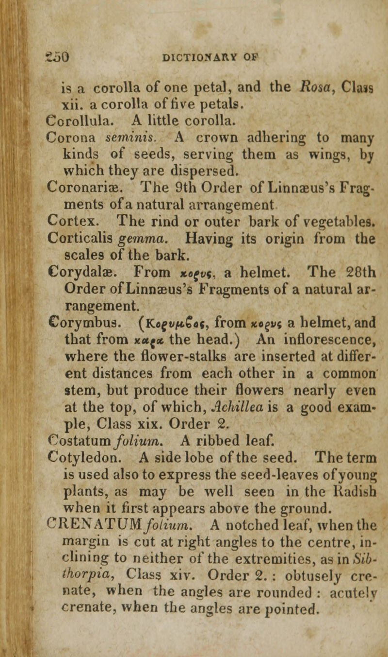 is a corolla of one petal, and the Rosa, Class xii. a corolla of rive petals. Corollula. A little corolla. Corona seminis. A crown adhering to many kinds of seeds, serving them as wings, by which they are dispersed. Coronarias. The 9th Order of Linnaeus's Frag- ments of a natural arrangement Cortex. The rind or outer bark of vegetables. Corticalis gemma. Having its origin from the scales of the bark. Corydala?. From xe^vt, a helmet. The 28th Order of Linnaeus's Fragments of a natural ar- rangement. Corymbus. (Kef vfcS««, from xe^vi a helmet, and that from xufx the head.) An inflorescence, where the flower-stalks are inserted at differ- ent distances from each other in a common stem, but produce their flowers nearly even at the top, of which, Achillea is a good exam- ple, Class xix. Order 2. Costatum/o/iuj/i. A ribbed leaf. Cotyledon. A side lobe of the seed. The term is used also to express the seed-leaves ofyoun^ plants, as may be well seen in the Radish when it first appears above the ground. CRENATUM/o/iuTO. A notched leaf, when the margin is cut at right angles to the centre, in- clining to neither of the extremities, as in.S't'/;- thorpia, Class xiv. Order 2. : obtusely cre- nate, when the angles are rounded : acutely crenate, when the angles are pointed.