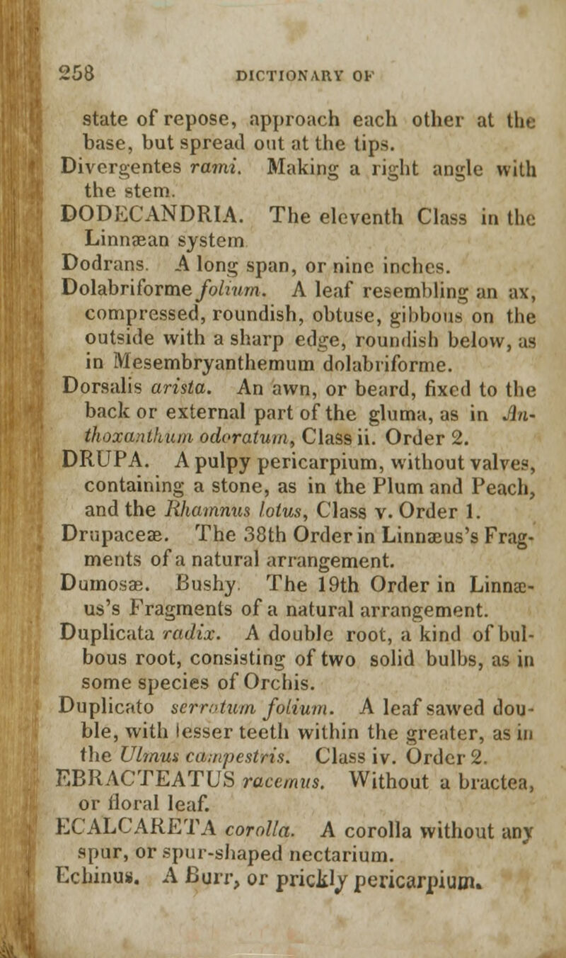 state of repose, approach each other at the base, but spread out at the tips. Divergences rami. Making a right angle with the stem. DOpECANDRIA. The eleventh Class in the Linnaean system Dodrans. A long span, or nine inches. Dolabriforme/o/rHOT. A leaf resembling an ax, compressed, roundish, obtuse, gibbous on the outside with a sharp edge, roundish below, as in Mesembryanthemum dolabriforme. Dorsalis arista. An awn, or beard, fixed to the back or external part of the gluma, as in An- thoxanthum odcratum, Class ii. Order 2. DRUPA. A pulpy pericarpium, without valves, containing a stone, as in the Plum and Peach, and the Rhamnus lotus, Class v. Order 1. Drupaceee. The 38th Order in Linnaeus's Frag- ments of a natural arrangement. Dumosae. Bushy The 19th Order in Linnae- us's Fragments of a natural arrangement. Duplicata radix. A double root, a kind of bul- bous root, consisting of two solid bulbs, as in some species of Orchis. Duplicato scrrotum folium. A leaf sawed dou- ble, with lesser teeth witbin the greater, as in the Ulmus ca.npestris. Class iv. Order 2. EBRACTEATUS rdeemus. Without a bractea, or floral leaf. ECALCARETA corolla. A corolla without any spur, or spur-shaped nectarium. Echinus. A Burr, or prickly pericarpium.