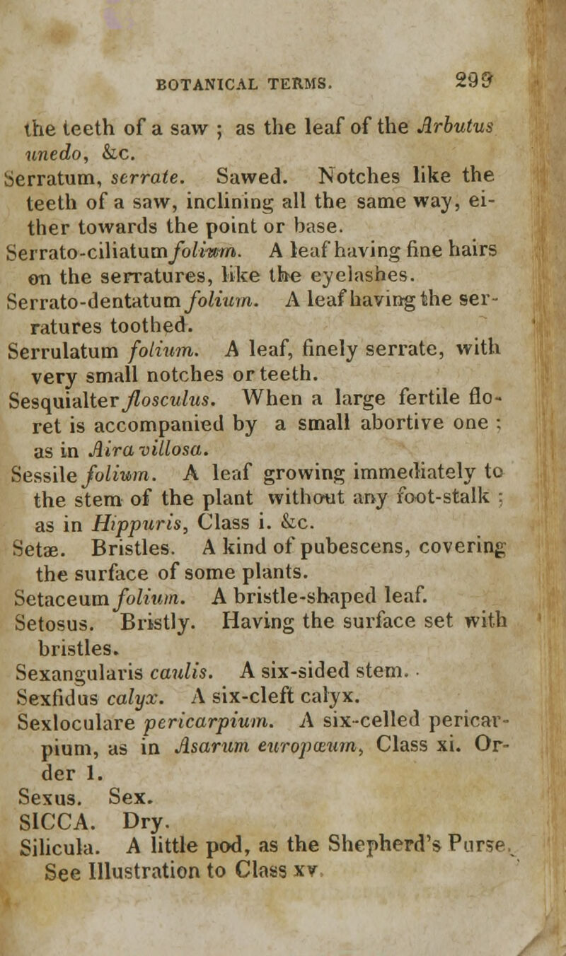 the teeth of a saw ; as the leaf of the Arbutus unedo, &c. Serratum, serrate. Sawed. Notches like the teeth of a saw, inclining all the same way, ei- ther towards the point or base. Serrato-ciliatum/oitwn. A leaf having fine hairs on the serratures, like th€ eyelashes. Serrato-dentatum folium. A leaf having the ser- ratures toothed. Serrulatum folium. A leaf, finely serrate, with very small notches or teeth. Sesquialter^oscw/ws. When a large fertile flo- ret is accompanied by a small abortive one ; as in Air a villosa. Sessile folium. A leaf growing immediately to the stem of the plant without any foot-stalk ; as in Hippuris, Class i. &c. Setae. Bristles. A kind of pubescens, covering the surface of some plants. Setaceum/ofo'?«//i. A bristle-shaped leaf. Setosus. Bristly. Having the surface set with bristles. Sexangularis caulis. A six-sided stem. • Sexfidus calyx. A six-cleft calyx. Sexloculare pericarpium. A six-celled pericar- pium, as in Asarum europceum, Class xi. Or- der 1. Sexus. Sex. SICCA. Dry. Silicula. A little pod, as the Shepherd's Purse, See Illustration to Class xv\