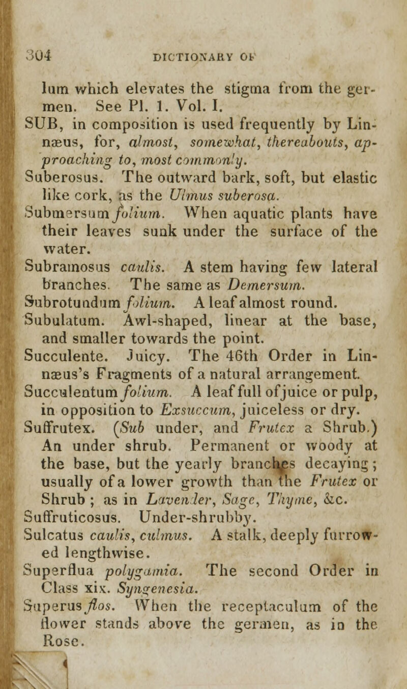 >U4 DICTION AH Y 01- lum which elevates the stigma from the ger- raen. See PI. 1. Vol. I. SUB, in composition is used frequently by Lin- naeus, for, almost, somewhat, thereabouts, ap- proaching to, most commonly. Suberosus. The outward bark, soft, but elastic like cork, ;is the Uimus suberosa. .'.-lubmarsum folium. When aquatic plants have their leaves sunk under the surface of the water. Subrainosus caulis. A stem having few lateral branches. The same as Demersum. Snhvotnn&mn folium. A leaf almost round. Subulatum. Awl-shaped, linear at the base, and smaller towards the point. Succulente. Juicy. The 46th Order in Lin- naeus's Fragments of a natural arrangement. Succulentum/o/iwm. A leaf full ofjuice orpulp, in opposition to Exsuccum, juiceless or dry. Suffrutex. [Sub under, and Frutex a Shrub.) An under shrub. Permanent or woody at the base, but the yearly brancluss decaying; usually of a lower growth than the Frutex or Shrub ; as in Lavcnler, Sage, Thyme, &c. Suffruticosus. Under-shrubb}'. Sulcatus caulis, culmus. A stalk, deeply furrow- ed lengthwise. Superflua polygamia. The second Order in Class xix. Syn^enesia. Superus flos. When the receptaculum of the flower stands above the geraien, as in the Rose.