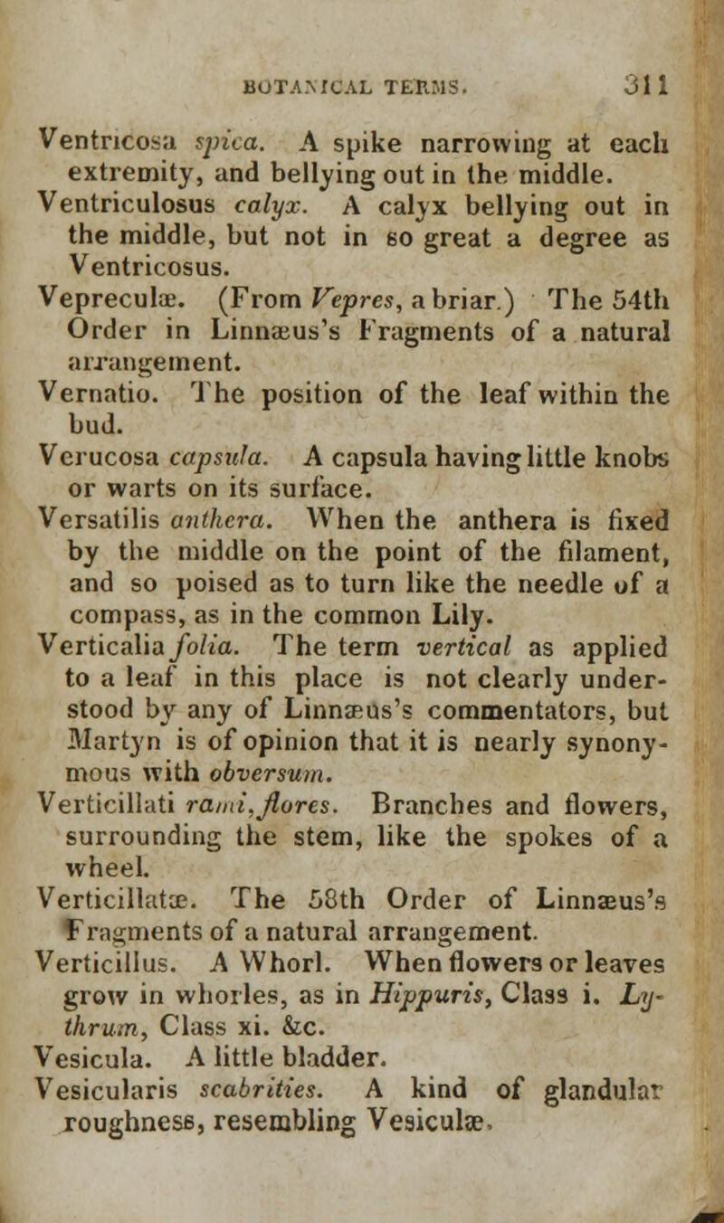 Ventncosa spica. A spike narrowing at each extremity, and bellying out in the middle. Ventriculosus calyx. A calyx bellying out in the middle, but not in so great a degree as Ventricosus. Veprecuke. (From Vepres, a briar.) The 54th Order in Linnaeus's Fragments of a natural arrangement. Vernatio. The position of the leaf within the bud. Verucosa capsula. A capsula having little knobs or warts on its surface. Versatilis anthcra. When the anthera is fixed by the middle on the point of the filament, and so poised as to turn like the needle of a compass, as in the common Lily. Verticalia/o/j'a. The term vertical as applied to a leaf in this place is not clearly under- stood by any of Linnaeus's commentators, but Martyn is of opinion that it is nearly synony- mous with obversum. Verticillati rand,flares. Branches and flowers, surrounding the stem, like the spokes of a wheel. Verticillata?. The 58th Order of Linnaeus's fragments of a natural arrangement. Verticillus. A Whorl. When flowers or leaves grow in whorles, as in Hippuris, Class i. Ly~ thrum, Class xi. &c. Vesicula. A little bladder. Vesicularis scabrities. A kind of glandular roughness, resembling Vesicula?.