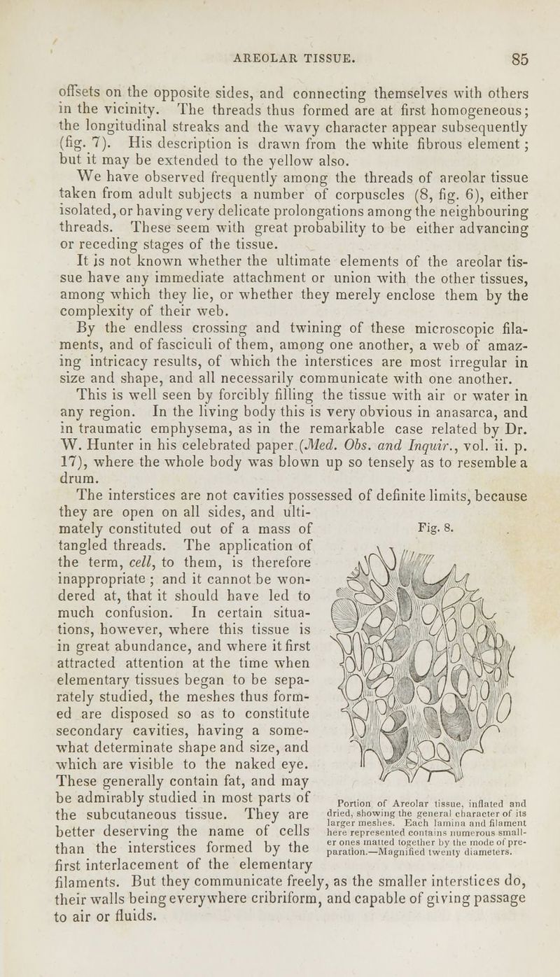 offsets on the opposite sides, and connecting themselves with others in the vicinity. The threads thus formed are at first homogeneous; the longitudinal streaks and the wavy character appear subsequently (fig. 7). His description is drawn from the white fibrous element; but it may be extended to the yellow also. We have observed frequently among the threads of areolar tissue taken from adult subjects a number of corpuscles (8, fig. 6), either isolated, or having very delicate prolongations among the neighbouring threads. These seem with great probability to be either advancing or receding stages of the tissue. It is not known whether the ultimate elements of the areolar tis- sue have any immediate attachment or union with the other tissues, among which they lie, or whether they merely enclose them by the complexity of their web. By the endless crossing and twining of these microscopic fila- ments, and of fasciculi of them, among one another, a web of amaz- ing intricacy results, of which the interstices are most irregular in size and shape, and all necessarily communicate with one another. This is well seen by forcibly filling the tissue with air or water in any region. In the living body this is very obvious in anasarca, and in traumatic emphysema, as in the remarkable case related by Dr. W. Hunter in his celebrated paper (Med. Obs. and Inquir., vol. ii. p. 17), where the whole body was blown up so tensely as to resemble a drum. The interstices are not cavities possessed of definite limits, because they are open on all sides, and ulti- mately constituted out of a mass of tangled threads. The application of the term, cell, to them, is therefore inappropriate ; and it cannot be won- dered at, that it should have led to much confusion. In certain situa- tions, however, where this tissue is in great abundance, and where it first attracted attention at the time when elementary tissues began to be sepa- rately studied, the meshes thus form- ed are disposed so as to constitute secondary cavities, having a some- what determinate shape and size, and which are visible to the naked eye. These generally contain fat, and may be admirably studied in most parts of the subcutaneous tissue. They are better deserving the name of cells than the interstices formed by the first interlacement of the elementary filaments. But they communicate freely, as the smaller interstices do, their walls being everywhere cribriform, and capable of giving passage to air or fluids. Fig. 8. « Portion of Areolar tissue, inflated and dried, showing the general character of its larger meshes. Each lamina and filament here represented contains numerous small- er ones inatled together by the mode of pre- paration.—Magnified twenty diameters.