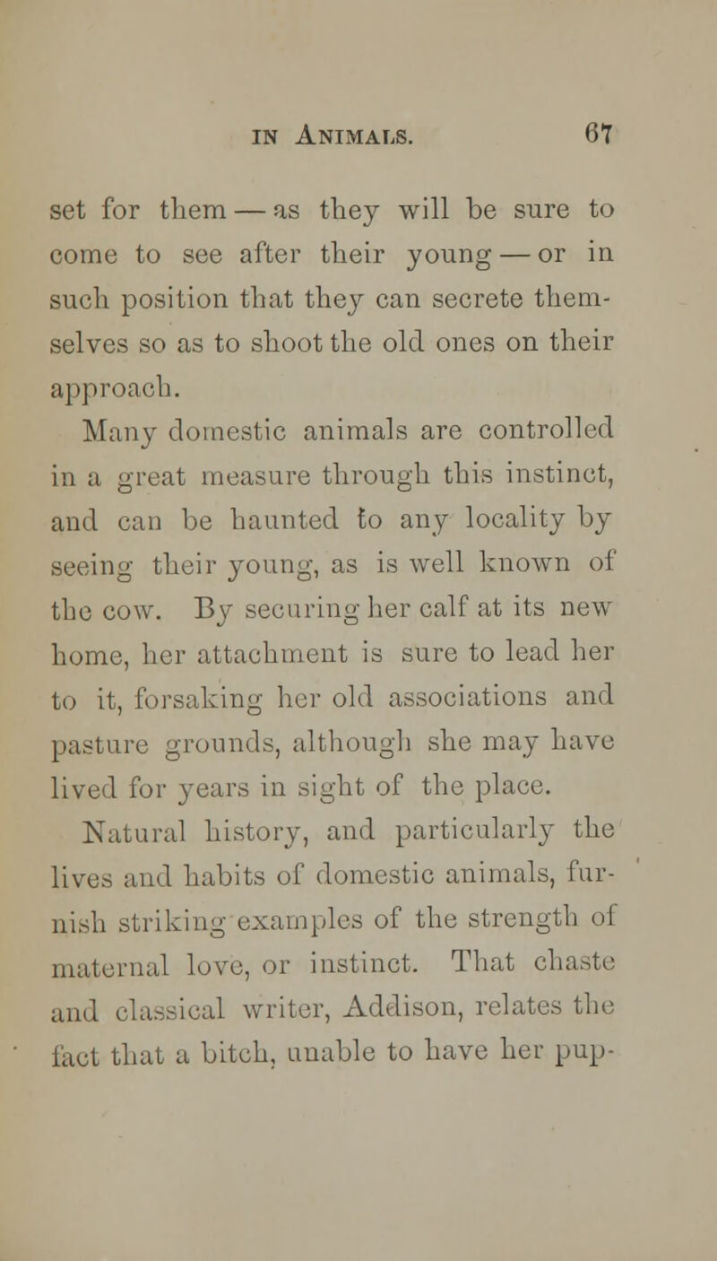 set for them — as they will be sure to come to see after their young — or in such position that they can secrete them- selves so as to shoot the old ones on their approach. Many domestic animals are controlled in a great measure through this instinct, and can be haunted to any locality by seeing their young, as is well known of the cow. By securing her calf at its new- home, her attachment is sure to lead her to it, forsaking her old associations and pasture grounds, although she may have lived for years in sight of the place. Natural history, and particularly the lives and habits of domestic animals, fur- nish striking examples of the strength of maternal love, or instinct. That chaste and classical writer, Addison, relates the feet that a bitch, unable to have her pup-