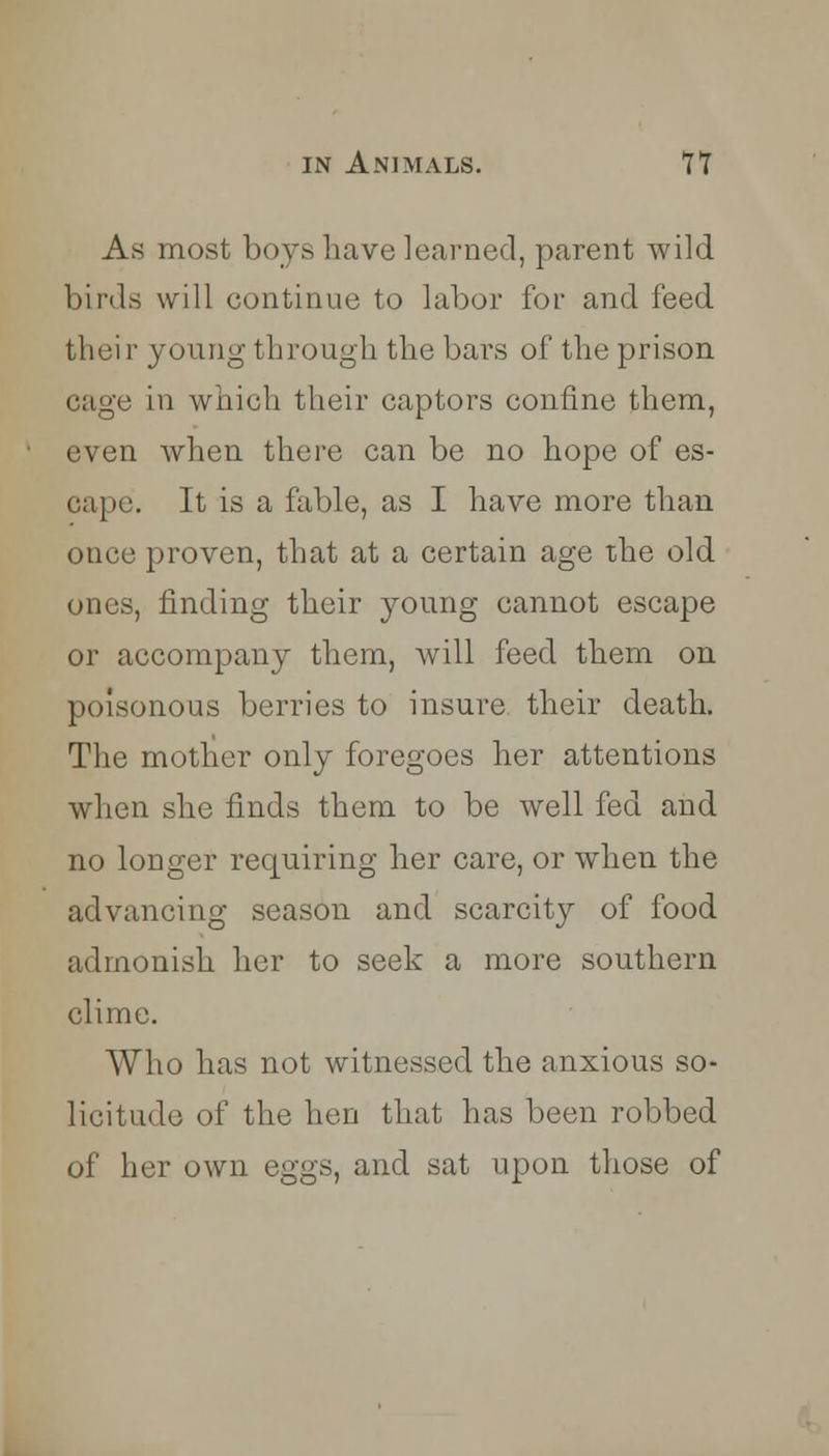 As most boys have learned, parent wild birds will continue to labor for and feed thei r young through the bars of the prison cage in which their captors confine them, even when there can be no hope of es- cape. It is a fable, as I have more than once proven, that at a certain age the old ones, finding their young cannot escape or accompany them, will feed them on poisonous berries to insure their death. The mother only foregoes her attentions when she finds them to be well fed and no longer requiring her care, or when the advancing season and scarcity of food admonish her to seek a more southern clime. Who has not witnessed the anxious so- licitude of the hen that has been robbed of her own eggs, and sat upon those of