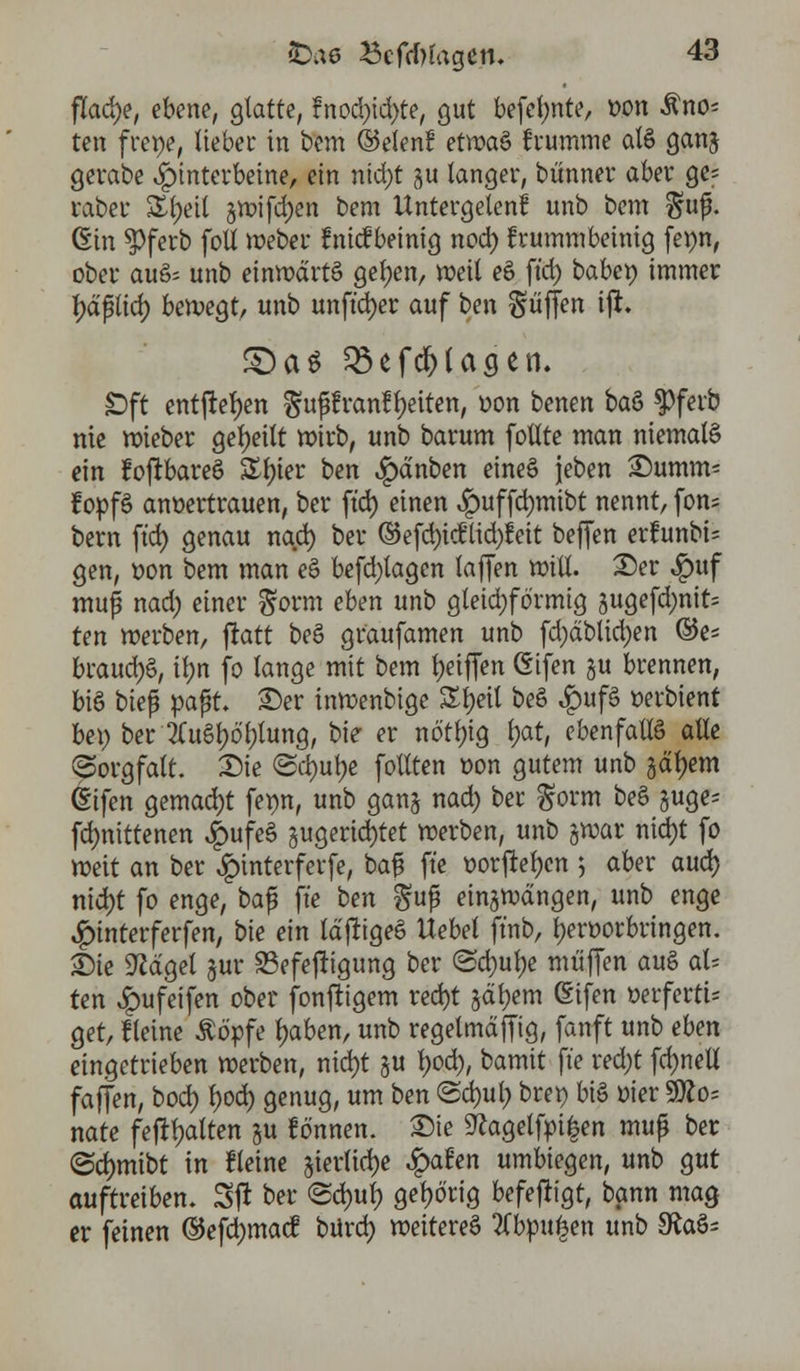 flache, ebene, glatte, fnod)id)te, gut befe^nte, oon Äno^ ten frene, lieber in bem ©elen! etwaS frumme atö ganj gerate Hinterbeine, ein nid)t §u langer, bünner aber ge; raber £l;eil §wifd)en bem Untergetenf unb bem $uf. Gin $ferb foll Weber fnicf beinig nod) krummbeinig fepn, ober auS; unb einwärts gefjen, weil eS ft'd) baben immer Ijäflicr; bewegt, unb unft'd)er auf ben puffen ijt. £)as 25efd)lagen. £>ft entfielen ^uf franfljeiten, oon benen baS $ferb nie wieber geseilt wirb, unb barum follte man niemals ein fofrbareS £l)ier ben £änben eineS jeben Dumm* fopfS anvertrauen, ber ft'd) einen ^mffdpibt nennt, fon= bern ft'd) genau nad) ber ©efd)icflid)feit bejfen erfunbi= gen, oon bem man eS befd)lagcn laffen will. Der $uf muß nad) einer §orm eben unb gleidjförmig §ugefd;nit= ten werben, ftatt beS graufamen unb fd)äblid)en ©e« braud)S, ilm fo lange mit bem Riffen Gifen §u brennen, bis biep paßt, ©er inwenbige Styeil beS $ufS oerbient be\) ber 2UiSl)6'i)lung, bie er nötf)ig l;at, ebenfalls alle Sorgfalt. Die <Scr;uf)e follten oon gutem unb gätjem (Sifen gemacht femt, unb ganj nad) ber £orm beS §uge= fd)nittenen $ufe$ gugerid)tet werben, unb §war nid)t fo weit an ber $interferfe, bafc ft'e oorjrel)cn 5 aber aud) nid)t fo enge, baf ft'e ben $uf einzwängen, unb enge ^interferfen, bie ein läftigeS Uebel ft'nb, Ijeroorbringen. Die 9?dgel jur 93efeftigung ber <Sd)ul)e müjTen auS al= ten pfeifen ober fonfrigem red)t gal)em (Eifen verferti- get, Heine Äöpfe l)aben, unb regelmäßig, fanft unb eben eingetrieben werben, nid)t §u l)od), bamit ft'e red)t fd)nell faffen, bod) t>od> genug, um ben Bd)ul) brep bis oier 9tto= nate feftyalten §u lö'nnen. Die 9?agelfpi|en muß ber @d)mibt in Heine jierlid)e «Ipafen umbiegen, unb gut auftreiben. Sft ber <Sd)ul) gehörig befeftigt, bann mag er feinen ©efetymaef bürd) weiteres Tlbpuken unb 3RaS=