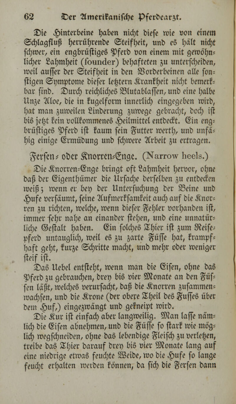 £)ie Hinterbeine fyaben nid)t biefe wie »on einem (Sdjlagfluf fjerrüfjrenbe «Steifheit, unb e§ I;dtt nia)t fdjwer, ein engbrtiftigeS $)ferb oon einem mit gewöf)n= lieber Salnntyeit (founder) behafteten gu unterfd)eiben, weit auffer ber «Steifheit in ben SSorberbeinen alle fon= fligen (Symptome tiefer le|tern Äranf tyeit nidjt bemerk bar fmb. £)urd) reid)tid;e£> 33(utablaffen, unb eine l;albe Unge 2Cloe, bie in fugetform innerlid) eingegeben wirb, l)at man guweilen Sinberung guwege gebracht, bed) ijt bis jel-jt fein oolIfommeneS Heilmittel entbeef t. Gnn eng= brtiftigeö spferb ift laum fein Butter wertl;, unb unfd; t)ig einige (Srmübung unb fernere Arbeit ju ertragen. Seifen* ot>er £nomn*(£nge. (Narrow heels.) £)ie .ftnorren^nge bringt oft Safymfyett fyeroor, ol;ne t>a$ ber (Eigentümer bie Urfacfye berfelben gu entbeefen weif *, roenn er bei) ber Unterfudnmg ber 95eine unb $ufe ttetfdumt, feine 3Cufmerffamfeit aud) auf bie £nor= ren gu richten, meiere, wenn tiefer Seljler oorljanben iff, immer fefjr nal)e an einanber freien, unb eine unnatür* lid)e ©efralt tyaben. (Sin fold)e§ Sln'cr ift gum SRetfe- pferb untaugtid), weil eö gu garte Rüffle l;at, frampf« t>aft gef)t, futge «Schritte mad)t, unb mefyr ober weniger fteif ijl. 2)a£ Uebel entfielt, wenn man bie Cnfen, ofyne baö $)ferb gu gebrauchen, bren bis r>ier Monate an ben %ü\- fen laßt, weldjeö r-erurfadjt, taf bie Knorren gufammen; wad)fen, unb bie $rone (ber obere Styett beS ^uffeS über bem $uf,) eingegwdngt unb gefneipt wirb. Die Äur ift einfad) aber langweilig. 5Sttan taffc ndm- lid) bie (Stfen abnehmen, unb bie güffe fo ftarf wie mö'g; lidtS wegfd)neiben, otjne baS lebenbige gleifd) gu werteren, treibe baS £l;ier barauf brer> bis t-ier Monate lang auf eine niebrige etwas feuchte Söeibe, wo bie $ufe fo lange feucfyt erhalten werben fönnen, ba ft'd) bie Werfen bann