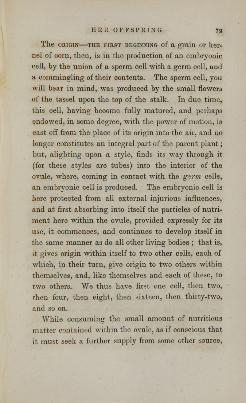 The origin—the first beginning of a grain or ker- nel of corn, then, is in the production of an embryonic cell, by the union of a sperm cell with a germ cell, and a commingling of their contents. The sperm cell, you will bear in mind, was produced by the small flowers of the tassel upon the top of the stalk. In due time, this cell, having become fully matured, and perhaps endowed, in some degree, with the power of motion, is cast off from the place of its origin into the air, and no longer constitutes an integral part of the parent plant; but, alighting upon a style, finds its way through it (for these styles are tubes) into the interior of the ovule, where, coming in contact with the germ cells, an embryonic cell is produced. The embryonic cell is here protected from all external injurious influences, and at first absorbing into itself the particles of nutri- ment here within the ovule, provided expressly for its use, it commences, and continues to develop itself in the same manner as do all other living bodies ; that is, it gives origin within itself to two other cells, each of which, in their turn, give origin to two others within themselves, and, like themselves and each of these, to two others. We thus have first one cell, then two, then four, then eight, then sixteen, then thirty-two, and so on. While consuming the small amount of nutritious matter contained within the ovule, as if conscious that it must seek a further supply from some other source,