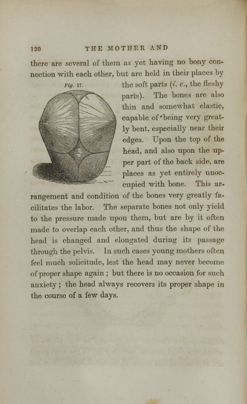 there are several of them as yet having no bony con- nection with each other, but are held in their places by ng. it. the soft parts (i. c, the fleshy parts). The bones are also thin and somewhat elastic, capable of'being very great- ly bent, especially near their edges. Upon the top of the head, and also upon the up- per part of the back side, are places as yet entirely unoc- cupied with bone. This ar- rangement and condition of the bones very greatly fa- cilitates the labor. The separate bones not only yield to the pressure made upon them, but are by it often made to overlap each other, and thus the shape of the head is changed and elongated during its passage through the pelvis. In such cases young mothers often feel much solicitude, lest the head may never become of proper shape again ; but there is no occasion for such anxiety; the head always recovers its proper shape in the course of a few days.