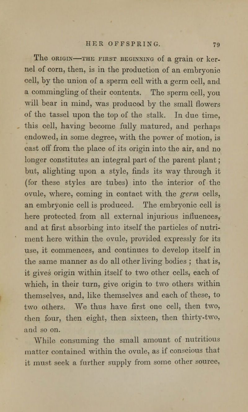 The origin—the first beginning of a grain or ker- nel of corn, then, is in the production of an embryonic cell, by the union of a sperm cell with a germ cell, and a commingling of their contents. The sperm cell, you will bear in mind, was produced by the small flowers of the tassel upon the top of the stalk. In due time, this cell, having become fully matured, and perhaps endowed, in some degree, with the power of motion, is cast off from the place of its origin into the air, and no longer constitutes an integral part of the parent plant; but, alighting upon a style, finds its way through it (for these styles are tubes) into the interior of the ovule, where, coming in contact with the germ cells, an embryonic cell is produced. The embryonic cell is here protected from all external injurious influences, and at first absorbing into itself the particles of nutri- ment here within the ovule, provided expressly for its use, it commences, and continues to develop itself in the same manner as do all other living bodies ; that is, it gives origin within itself to two other cells, each of which, in their turn, give origin to two others within themselves, and, like themselves and each of these, to two others. We thus have first one cell, then two, r,hen four, then eight, then sixteen, then thirty-two, and so on. While consuming the small amount of nutritious matter contained within the ovule, as if conscious that it must seek a further supply from some other source,