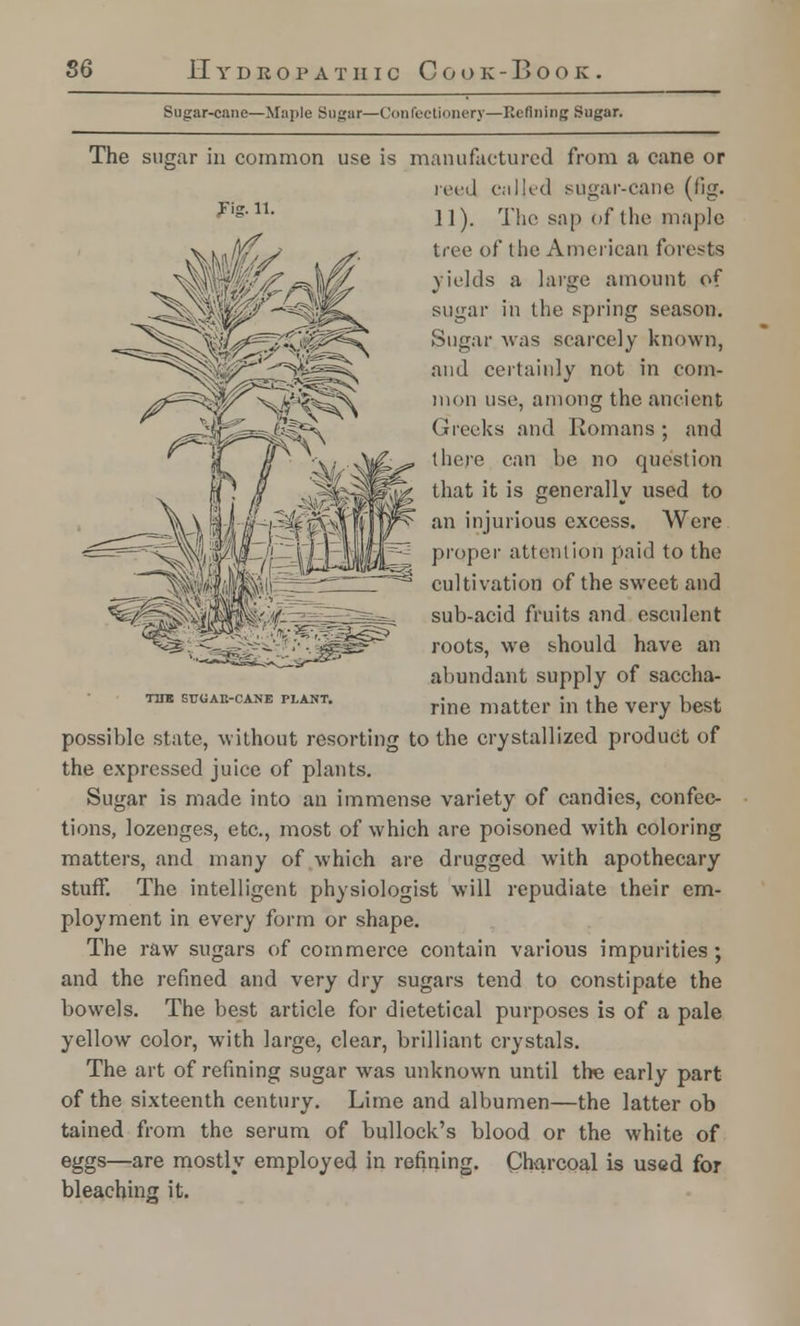 Sugar-cane—Maple Sugar—Confectionery—Refining Sugar. The sugar in common use is manufactured from a cane or reed called sugar-cane (fig. 11). The sap of the maple tree of the American forests yields a large amount of sugar in the spring season. Sugar was scarcely known, and certainly not in com- mon use, among the ancient Greeks and Romans; and there can be no question that it is generally used to an injurious excess. Were proper attention paid to the cultivation of the sweet and sub-acid fruits and esculent roots, we should have an abundant supply of saccha- rine matter in the very best possible state, without resorting to the crystallized product of the expressed juice of plants. Sugar is made into an immense variety of candies, confec- tions, lozenges, etc., most of which are poisoned with coloring matters, and many of which are drugged with apothecary stuff. The intelligent physiologist will repudiate their em- ployment in every form or shape. The raw sugars of commerce contain various impurities; and the refined and very dry sugars tend to constipate the bowels. The best article for dietetical purposes is of a pale yellow color, with large, clear, brilliant crystals. The art of refining sugar was unknown until the early part of the sixteenth century. Lime and albumen—the latter ob tained from the serum of bullock's blood or the white of eggs—are mostly employed in refining. Charcoal is used for bleaching it. TUB GT7UAE-CANE PLANT.