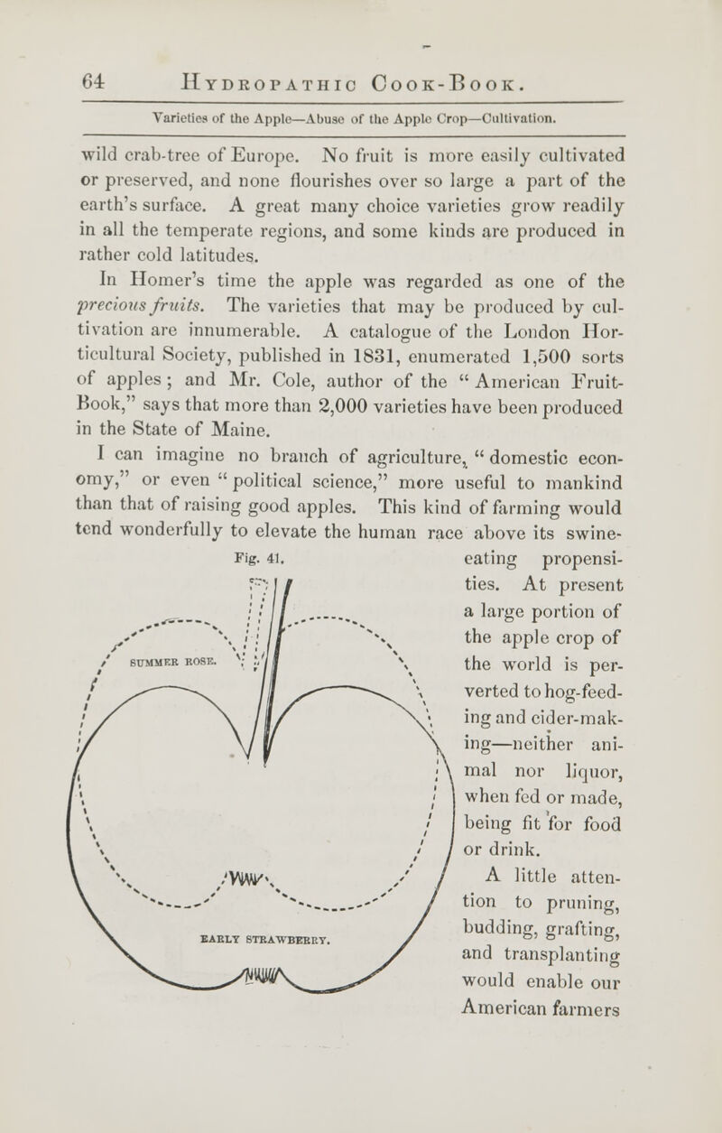 Varieties of the Apple—Abuse of the Apple Crop—Cultivation. wild crab-tree of Europe. No fruit is more easily cultivated or preserved, and none flourishes over so large a part of the earth's surface. A great many choice varieties grow readily in all the temperate regions, and some kinds are produced in rather cold latitudes. In Homer's time the apple was regarded as one of the precious fruits. The varieties that may be produced by cul- tivation are innumerable. A catalogue of the London Hor- ticultural Society, published in 1831, enumerated 1,500 sorts of apples ; and Mr. Cole, author of the  American Fruit- Book, says that more than 2,000 varieties have been produced in the State of Maine. I can imagine no branch of agriculture,  domestic econ- omy, or even  political science, more useful to mankind than that of raising good apples. This kind of farming would tend wonderfully to elevate the human race above its swine- Fig. 41. eating propensi- ties. At present a large portion of the apple crop of the world is per- verted to hog-feed- ing and cider-mak- ing—neither ani- mal nor liquor, when fed or made, being fit 'for food or drink. A little atten- tion to pruning, budding, grafting, and transplanting would enable our American farmers