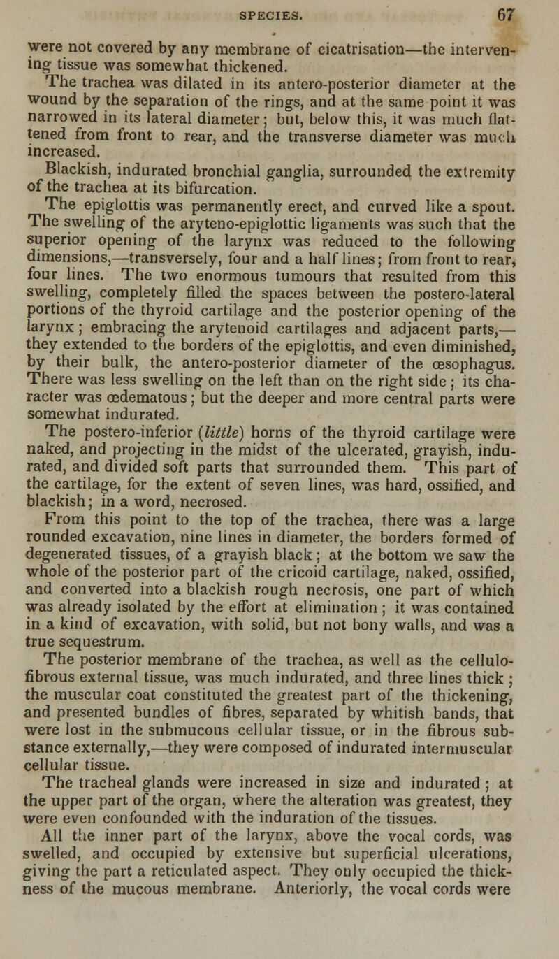 were not covered by any membrane of cicatrisation—the interven- ing tissue was somewhat thickened. The trachea was dilated in its antero-posterior diameter at the wound by the separation of the rings, and at the same point it was narrowed in its lateral diameter; but, below this, it was much flat- tened from front to rear, and the transverse diameter was much increased. Blackish, indurated bronchial ganglia, surrounded the extremity of the trachea at its bifurcation. The epiglottis was permanently erect, and curved like a spout. The swelling of the aryteno-epiglottic ligaments was such that the superior opening of the larynx was reduced to the following dimensions,—transversely, four and a half lines; from front to rear, four lines. The two enormous tumours that resulted from this swelling, completely filled the spaces between the postero-lateral portions of the thyroid cartilage and the posterior opening of the larynx; embracing the arytenoid cartilages and adjacent parts,— they extended to the borders of the epiglottis, and even diminished, by their bulk, the antero-posterior diameter of the oesophagus. There was less swelling on the left than on the right side ; its cha- racter was oedematous ; but the deeper and more central parts were somewhat indurated. The postero-inferior {little) horns of the thyroid cartilage were naked, and projecting in the midst of the ulcerated, grayish, indu- rated, and divided soft parts that surrounded them. This part of the cartilage, for the extent of seven lines, was hard, ossified, and blackish; in a word, necrosed. From this point to the top of the trachea, there was a large rounded excavation, nine lines in diameter, the borders formed of degenerated tissues, of a grayish black; at the bottom we saw the whole of the posterior part of the cricoid cartilage, naked, ossified, and converted into a blackish rough necrosis, one part of which was already isolated by the effort at elimination ; it was contained in a kind of excavation, with solid, but not bony walls, and was a true sequestrum. The posterior membrane of the trachea, as well as the cellulo- fibrous external tissue, was much indurated, and three lines thick ; the muscular coat constituted the greatest part of the thickening, and presented bundles of fibres, separated by whitish bands, that were lost in the submucous cellular tissue, or in the fibrous sub- stance externally,—they were composed of indurated intermuscular cellular tissue. The tracheal glands were increased in size and indurated ; at the upper part of the organ, where the alteration was greatest, they were even confounded with the induration of the tissues. All the inner part of the larynx, above the vocal cords, was swelled, and occupied by extensive but superficial ulcerations, giving the part a reticulated aspect. They only occupied the thick- ness of the mucous membrane. Anteriorly, the vocal cords were