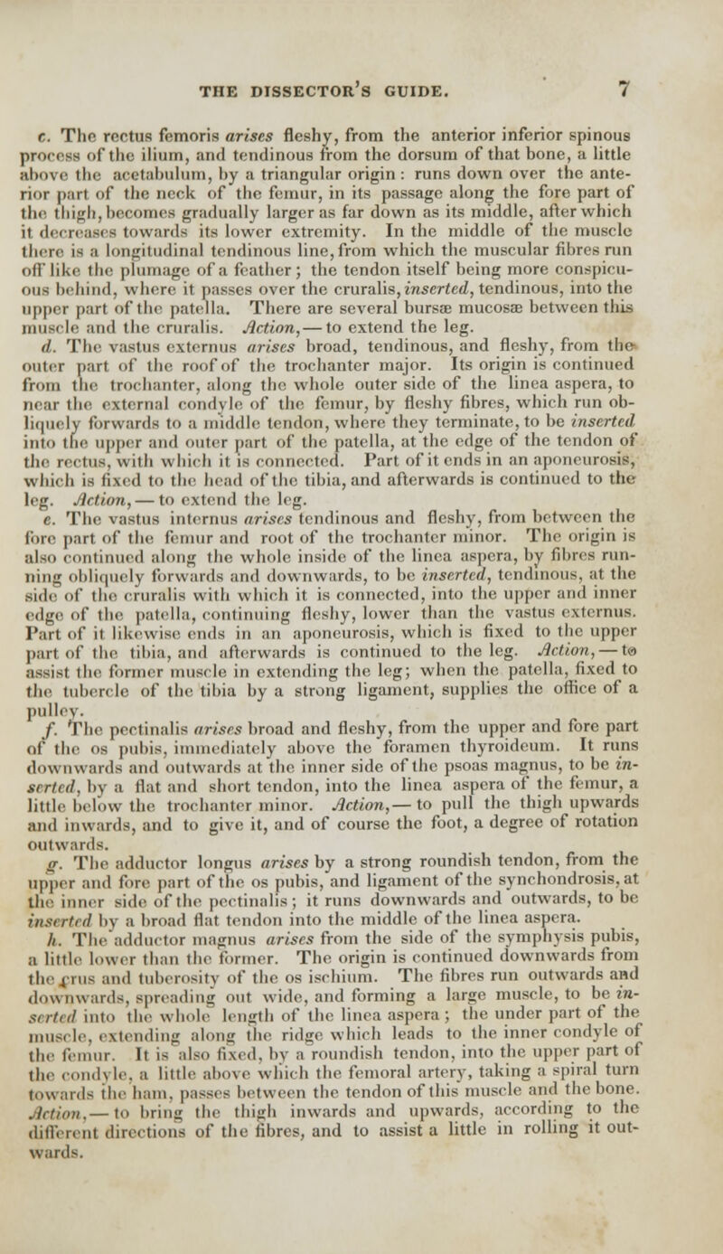 e. The rectus femoris arises fleshy, from the anterior inferior spinous process of the ilium, and tendinous from the dorsum of that bone, a little above the acetabulum, by a triangular origin : runs down over the ante- rior part of the neck of the femur, in its passage along the fore part of the thigh, becomes gradually larger as far down as its middle, after which it decreases towards its lower extremity. In the middle of the muscle there, is a longitudinal tendinous line, from which the muscular fibres run off like the plumage of a feather; the tendon itself being more conspicu- ous behind, where it passes over the cruralis, inserted, tendinous, into the upper part of the patella. There are several bursas mucosae between this muscle and the cruralis. Action,— to extend the leg. d. The vastus externus arises broad, tendinous, and fleshy, from t ho outer part of the roof of the trochanter major. Its origin is continued from the trochanter, along the whole outer side of the linea aspera, to near the external condyle of the femur, by fleshy fibres, which run ob- liquely forwards to a middle tendon, where they terminate, to be inserted into toe upper and outer part of the patella, at the edge of the tendon of the rectus, with which it is connected. Part of it ends in an aponeurosis; which is fixed to the head of the tibia, and afterwards is continued to the leg. Action, — to extend the leg. c. The vastus internus arises tendinous and fleshy, from between the fore part of the femur and root of the trochanter minor. The origin is also continued along the whole inside of the linea aspera, by fibres run- ning obliquely forwards and downwards, to be inserted, tendinous, at the side of the cruralis with which it is connected, into the upper and inner edge of the patella, continuing fleshy, lower than the vastus externus. Part of it likewise ends in an aponeurosis, which is fixed to the upper part of the tibia, and afterwards is continued to the leg. Action, — to assist the former muscle in extending the leg; when the patella, fixed to the tubercle of the tibia by a strong ligament, supplies the office of a pulley. /. The pectinalis arises broad and fleshy, from the upper and fore part of the os pubis, immediately above the foramen thyroideum. It runs downwards and outwards at the inner side of the psoas magnus, to be in- serted, by a flat and short tendon, into the linea aspera of the femur, a little below the trochanter minor. Action,— to pull the thigh upwards and inwards, and to give it, and of course the foot, a degree of rotation outwards. g. The adductor longus arises by a strong roundish tendon, from the upper and fore part of the os pubis, and ligament of the synchondrosis, at the inner side of the pectinalis; it runs downwards and outwards, to be inserted by a broad flat tendon into the middle of the linea aspera. h. The adductor magnus arises from the side of the symphysis pubis, B little lower than the former. The origin is continued downwards from the rius and tuberosity of the os ischium. The fibres run outwards and downwards, spreading out wide, and forming a large muscle, to be in- serted into the whole length of the linea aspera ; the under part of the muscle, extending along the ridge which leads to the inner condyle of the femur. It is also fixed, by a roundish tendon, into the upper part of the condyle, a little above which the femoral artery, taking a spiral turn towards the ham. passes between the tendon of this muscle and the bone. Action,— to brim; the thigh inwards and upwards, according to the different directions of the fibres, and to assist a little in rolling it out- wards.