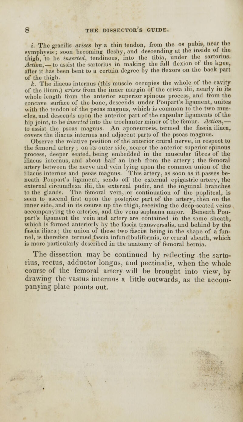 i. The gracilis arises by a thin tendon, from the os pubis, near the symphysis; soon becoming fleshy, and descending at the inside of the thigh, to be inserted, tendinous, into the tibia, under the sartonus. Action, — to assist the sartorius in making the full flexion of the knee, after it has been bent to a certain degree by the flexors on the back part of the thigh. k. The iliacus internus (this muscle occupies the whole of the cavity of the ilium.) arises from the inner margin of the crista ilii, nearly in its whole length from the anterior superior spinous process, and from the concave surface of the bone, descends under Poupart's ligament, unites with the tendon of the psoas magnus, which is common to the two mus- cles, and descends upon the anterior part of the capsular ligaments of the hip joint, to be inserted into the trochanter minor of the femur. Action,— to assist the psoas magnus. An aponeurosis, termed the fascia lliaca, covers the iliacus internus and adjacent parts of the psoas magnus. Observe the relative position of the anterior crural nerve, in respect to the femoral artery ; on its outer side, nearer the anterior superior spinous process, deeper seated, being embedded in the muscular fibres of the iliacus internus, and about half an inch from the artery ; the femoral artery between the nerve and vein lying upon the common union of the iliacus internus and psoas magnus. This artery, as soon as it passes be- neath Poupart's ligament, sends off the external epigastric artery, the external circumflexa ilii, the external pudic, and the inguinal branches to the glands. The femoral vein, or continuation of the popliteal, is seen to ascend first upon the posterior part of the artery, then on the inner side, and in its course up the thigh, receiving the deep-seated veins accompanying the arteries, and the vena saphaena major. Beneath Pou- part's ligament the vein and artery are contained in the same sheath, which is formed anteriorly by the fascia transversalis, and behind by the fascia iliaca; the union of these two fasciae being in the shape of a fun- nel, is therefore termed fascia infundibuliformis, or crural sheath, which is more particularly described in the anatomy of femoral hernia. The dissection may be continued by reflecting the sarto- rius, rectus, adductor longus, and pectinalis, when the whole course of the femoral artery will be brought into view, by drawing the vastus internus a little outwards, as the accom- panying plate points out.