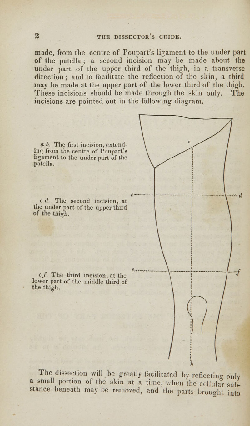 made, from the centre of Poupart's ligament to the under part of the patella; a second incision may be made about the under part of the upper third of the thigh, in a transverse direction; and to facilitate the reflection of the skin, a third may be made at the upper part of the lower third of the thigh. These incisions should be made through the skin only. The incisions are pointed out in the following diagram. a b. The first incision, extend- ing from the centre of Poupart's ligament to the under part of the patella. c d. The second incision, at the under part of the upper third of the thigh. ef. The third incision, at the lower part of the middle third of the thigh. The dissection will be greatly facilitated by reflecting only a small portion of the skin at a time, when the cellular sub- stance beneath may be removed, and the parts brought into