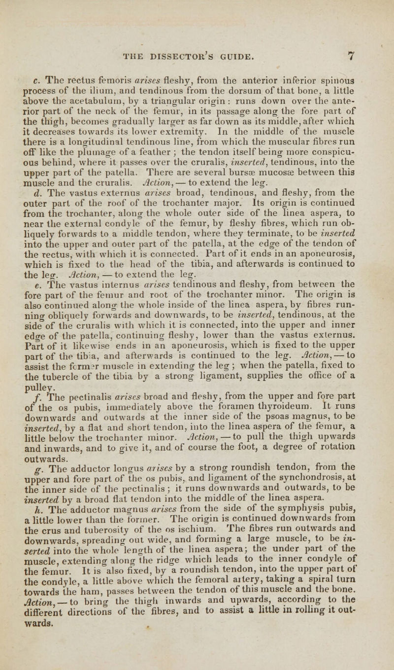 c. The rectus femoris arises fleshy, from the anterior inferior spinous process of the ilium, and tendinous from the dorsum of that bone, a little above the acetabulum, by a triangular origin : runs down over the ante- rior part of the neck of the femur, in its passage along the fore part of the thigh, becomes gradually larger as far down as its middle, after which it decreases towards its lower extremity. In the middle of the muscle there is a longitudinal tendinous line, from which the muscular fibres run off like the plumage of a feather ; the tendon itself being more conspicu- ous behind, where it passes over the cruralis, inserted, tendinous, into the upper part of the patella. There are several bursa? mucosae between this muscle and the cruralis. Action, — to extend the leg. d. The vastus externus arises broad, tendinous, and fleshy, from the outer part of the roof of the trochanter major. Its origin is continued from the trochanter, along the whole outer side of the Tinea aspera, to near the external condyle of the femur, by fleshy fibres, which run ob- liquely forwards to a middle tendon, where they terminate, to be inserted into the upper and outer part of the patella, at the edge of the tendon of the rectus, with which it is connected. Part of it ends in an aponeurosis, which is fixed to the head of the tibia, and afterwards is continued to the leg. Action, —to extend the leg. e. The vastus inlernus arises tendinous and fleshy, from between the fore part of the femur and root of the trochanter minor. The origin is also continued along the whole inside of the linea aspera, by fibres run- ning obliquely forwards and downwards, to be inserted, tendinous, at the side of the cruralis with which it is connected, into the upper and inner edge of the patella, continuing fleshy, lower than the vastus externus. Part of it likewise ends in an aponeurosis, which is fixed to the upper part of the tibia, and afterwards is continued to the leg. Action, — to assist the fcrm?r muscle in extending the leg; when the patella, fixed to the tubercle of the tibia by a strong ligament, supplies the office of a pulley. /. The peclinalis arises broad and fleshy, from the upper and fore part of the os pubis, immediately above the foramen thyroideum. It runs downwards and outwards at the inner side of the psoas magnus, to be inserted, by a flat and short tendon, into the linea aspera of the femur, a little below the trochanter minor. Action,—to pull the thigh upwards and inwards, and to give it, and of course the foot, a degree of rotation outwards. g. The adductor longus arisesby a strong roundish tendon, from the upper and fore part of the os pubis, and ligament of the synchondrosis, at the inner side of the pectinalis; it runs downwards and outwards, to be inserted by a broad flat tendon into the middle of the linea aspera. h. The adductor magnus arises from the side of the symphysis pubis, a little lower than the former. The origin is continued downwards from the crus and tuberosity of the os ischium. The fibres run outwards and downwards, spreading out wide, and forming a large muscle, to be in- serted into the whole length of the linea aspera; the under part of the muscle, extending along the ridge which leads to the inner condyle of the femur. It is also fixed, by a roundish tendon, into the upper part of the condyle, a little above which the femoral aitery, taking a spiral turn towards the ham, passes between the tendon of this muscle and the bone. Action, — to bring the thigh inwards and upwards, according to the different directions of the fibres, and to assist a little in rolling it out- wards.