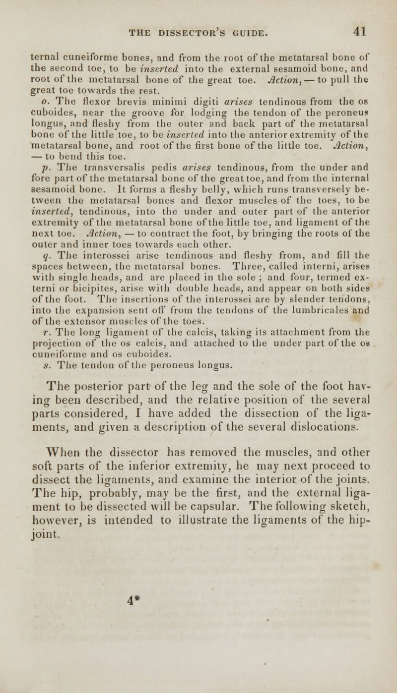 ternal cuneiforme bones, and from the root of the metatarsal bone of the second toe, to be inserted into the external sesamoid bone, and root of the metatarsal bone of the great toe. Jlction,— to pull the great toe towards the rest. o. The flexor brevis minimi digiti arises tendinous from the os cuboides, near the groove for lodging the tendon of the peroneus longus, and fleshy from the outer and back part of the metatarsal bone of the little toe, to be inserted into the anterior extremity of the metatarsal bone, and root of the first bone of the little toe. Jlction, — to bend this toe. p. The transversalis pedis arises tendinous, from the under and fore part of the metatarsal bone of the great toe, and from the internal sesamoid bone. It forms a fleshy belly, which runs transversely be- tween the metatarsal bones and flexor muscles of the toes, to be inserted, tendinous, into the under and outer part of the anterior extremity of the metatarsal bone of the little toe, and ligament of the next toe. Jlction, — to contract the foot, by bringing the roots of the outer and inner toes towards each other. q. The interossei arise tendinous and fleshy from, and fill the spaces between, the metatarsal bones. Three, called interni, arises with single heads, and are placed in the sole ; and four, termed ex- terni or bicipites, arise with double heads, and appear on both sides of the foot. The insertions of the interossei are by slender tendons, into the expansion sent off from the tendons of the lumbricales and of the extensor muscles of the toes. r. The long ligament of the calcis, taking its attachment from the projection of the os calcis, and attached to the under part of the os cuneiforme and os cuboides. s. The tendon of the peroneus longus. The posterior part of the leg and the sole of the foot hav- ing been described, and the relative position of the several parts considered, I have added the dissection of the liga- ments, and given a description of the several dislocations. When the dissector has removed the muscles, and other soft parts of the inferior extremity, he may next proceed to dissect the ligaments, and examine the interior of the joints. The hip, probably, may be the first, and the external liga- ment to be dissected will be capsular. The following sketch, however, is intended to illustrate the ligaments of the hip- joint.