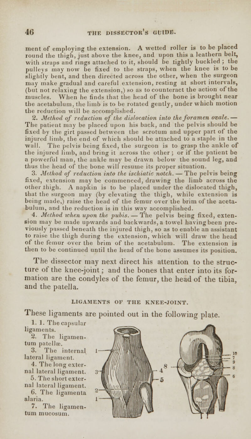 ment of employing the extension. A wetted roller is to be placed round the thigh, just above the knee, and upon this a leathern belt, with straps and rings attached to it, should be tightly buckled ; the pulleys may now be fixed to the straps, when the knee is to be slightly bent, and then directed across the other, when the surgeon may make gradual and careful extension, resting at short intervals, (but not relaxing the extension,) so as to counteract the action of the muscles. When he finds that the head of the bone is brought near the acetabulum, the limb is to be rotated gently, under which motion the reduction will be accomplished. 2. Method of reduction of the dislocation into the foramen ovale.— The patient may be placed upon his back, and the pelvis should be fixed by the girt passed between the scrotum and upper part of the injured limb, the end of which should be attached to a staple in the wall. The pelvis being fixed, the surgeon is to grasp the ankle of the injured limb, and bring it across the other ; or if the patient be a powerful man, the ankle may be drawn below the sound leg, and thus the head of the bone will resume its proper situation. 3. Method of reduction into the ischiatic notch. — The pelvis being fixed, extension may be commenced, drawing the limb across the other thigh. A napkin is to be placed under the dislocated thigh, that the surgeon may (by elevating the thigh, while extension is being made,) raise the head of the femur over the brim of the aceta- bulum, and the reduction is in this way accomplished. 4. Method when upon the pubis. — The pelvis being fixed, exten- sion may be made upwards and backwards, a towel having been pre- viously passed beneath the injured thigh, so as to enable an assistant to raise the thigh during the extension, which will draw the head of the femur over the brim of the acetabulum. The extension is then to be continued until the head of the bone assumes its position. The dissector may next direct his attention to the struc- ture of the knee-joint; and the bones that enter into its for- mation are the condyles of the femur, the head of the tibia, and the patella. LIGAMENTS OF THE KNEE-JOINT. These ligaments are pointed out in the following plate. 1. 1. The capsular ligaments. 2. The ligamen- tum patellae. 3. The internal lateral ligament. 4. The long exter- nal lateral ligament. 5. The short exter- nal lateral ligament. 6. The ligamenta alaria. 7. The ligamen- tum mucosum.