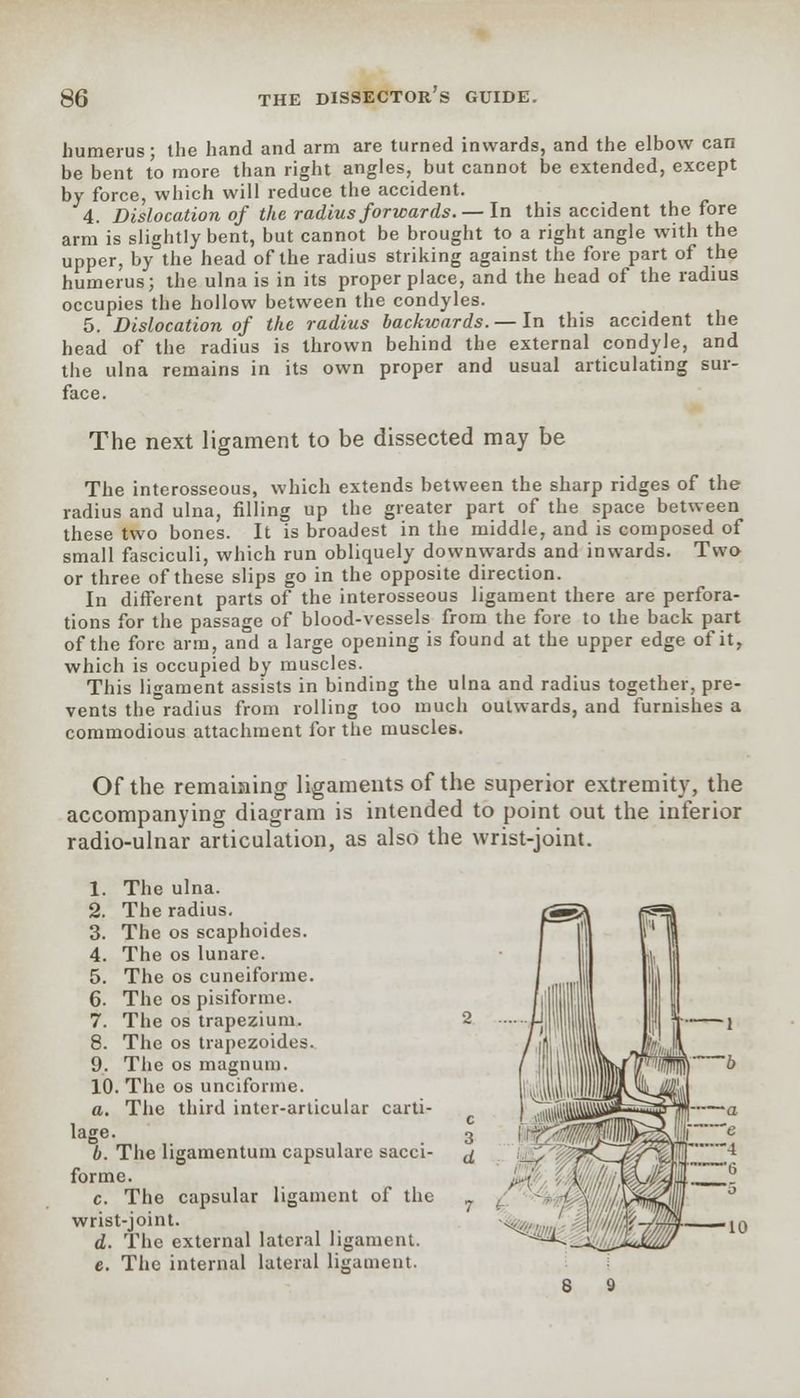 humerus; the hand and arm are turned inwards, and the elbow can be bent to more than right angles, but cannot be extended, except by force, which will reduce the accident. 4. Dislocation of the radius forwards. — In this accident the fore arm is slightly bent, but cannot be brought to a right angle with the upper, by the head of the radius striking against the fore part of the humerus; the ulna is in its proper place, and the head of the radius occupies the hollow between the condyles. 5. Dislocation of the radius backwards. — In this accident the head of the radius is thrown behind the external condyle, and the ulna remains in its own proper and usual articulating sur- face. The next ligament to be dissected may be The interosseous, which extends between the sharp ridges of the radius and ulna, filling up the greater part of the space between these two bones. It is broadest in the middle, and is composed of small fasciculi, which run obliquely downwards and inwards. Two or three of these slips go in the opposite direction. In different parts of the interosseous ligament there are perfora- tions for the passage of blood-vessels from the fore to the back part of the fore arm, and a large opening is found at the upper edge of it, which is occupied by muscles. This ligament assists in binding the ulna and radius together, pre- vents the radius from rolling too much outwards, and furnishes a commodious attachment for the muscles. Of the remaining ligaments of the superior extremity, the accompanying diagram is intended to point out the inferior radio-ulnar articulation, as also the wrist-joint. 1. The ulna. 2. The radius. 3. The os scaphoides. 4. The os lunare. 5. The os cuneiforme. 6. The os pisiforme. 7. The os trapezium. 2 8. The os trapezoides. 9. The os magnum. 10. The os unciforme. a. The third intcr-articular carti- lage. 3 b. The ligamentum capsulare sacci- ^ forme. c. The capsular ligament of the _ wrist-joint. d. The external lateral ligament. e. The internal lateral ligament.