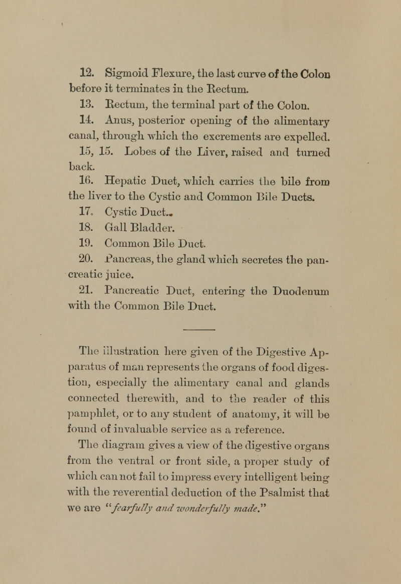 before it terminates in the Rectum. 13. Rectum, the terminal part of the Colon. 14. Anus, posterior opening- of the alimentary canal, through which the excrements are expelled. 15. 15. Lobes of the Liver, raised and turned back. 16. Hepatic Duet, which carries the bile from the liver to the Cystic and Common Bile Ducts. 17. Cystic Duct., 18. Gall Bladder. 19. Common Bile Duct. 20. Pancreas, the gland which secretes the pan- creatic juice. 21. Pancreatic Duct, entering the Duodenum with the Common Bile Duct. The illustration here given of the Digestive Ap- paratus of man represents the organs of food diges- tion, especially the alimentary canal and glands connected therewith, and to the reader of this pamphlet, or to any student of anatomy, it will be found of invaluable service as a reference. The diagram gives a view of the digestive organs from the ventral or front side, a proper study of which cannot fail to impress every intelligent being with the reverential deduction of the Psalmist that we are 11 fearfully and wonderfully made'''