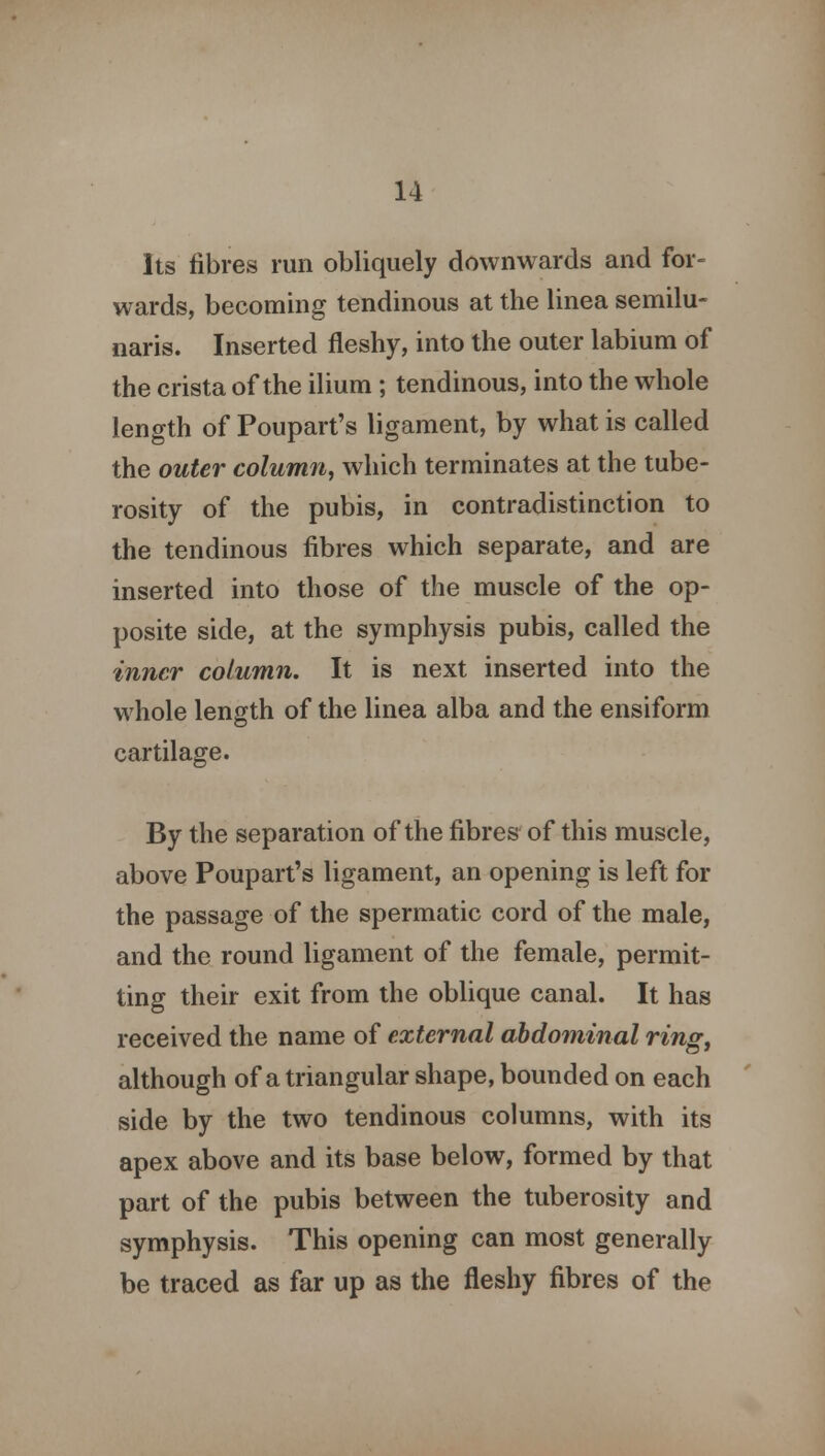 Its fibres run obliquely downwards and for- wards, becoming tendinous at the linea semilu- naris. Inserted fleshy, into the outer labium of the crista of the ilium ; tendinous, into the whole length of Poupart's ligament, by what is called the outer column, which terminates at the tube- rosity of the pubis, in contradistinction to the tendinous fibres which separate, and are inserted into those of the muscle of the op- posite side, at the symphysis pubis, called the inner column. It is next inserted into the whole length of the linea alba and the ensiform cartilage. By the separation of the fibres of this muscle, above Poupart's ligament, an opening is left for the passage of the spermatic cord of the male, and the round ligament of the female, permit- ting their exit from the oblique canal. It has received the name of external abdominal ring, although of a triangular shape, bounded on each side by the two tendinous columns, with its apex above and its base below, formed by that part of the pubis between the tuberosity and symphysis. This opening can most generally be traced as far up as the fleshy fibres of the