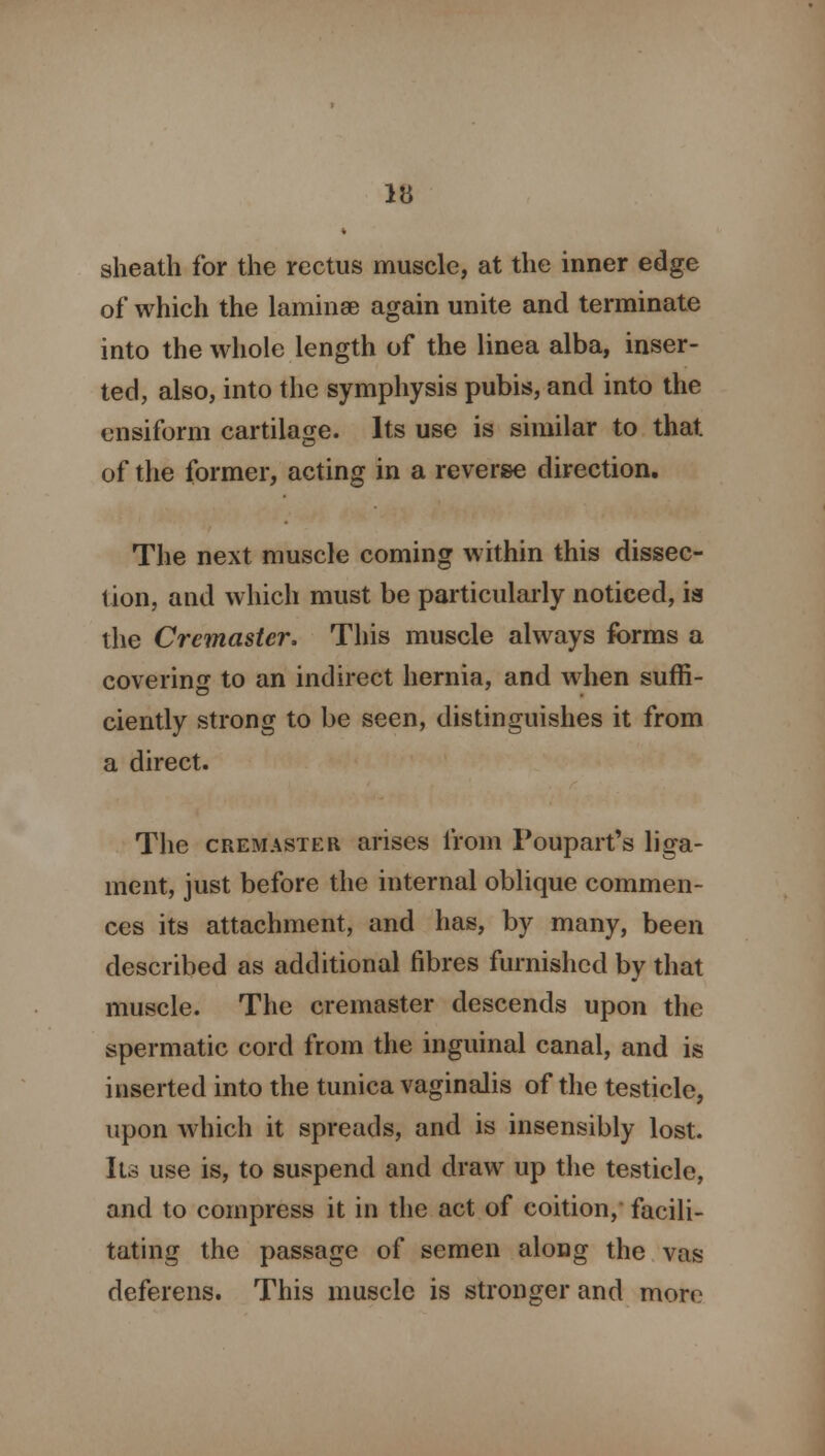 sheath for the rectus muscle, at the inner edge of which the laminae again unite and terminate into the whole length of the linea alba, inser- ted, also, into the symphysis pubis, and into the cnsiform cartilage. Its use is similar to that, of the former, acting in a reverse direction. The next muscle coming within this dissec- tion, and which must be particularly noticed, is the Crcmaster, This muscle always forms a covering to an indirect hernia, and when suffi- ciently strong to be seen, distinguishes it from a direct. The cremaster arises from Pouparfs liga- ment, just before the internal oblique commen- ces its attachment, and has, by many, been described as additional fibres furnished by that muscle. The cremaster descends upon the spermatic cord from the inguinal canal, and is inserted into the tunica vaginalis of the testicle, upon which it spreads, and is insensibly lost. Its use is, to suspend and draw up the testicle, and to compress it in the act of coition, facili- tating the passage of semen along the vas deferens. This muscle is stronger and more